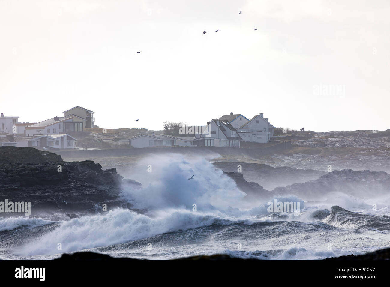 Trearddur Bay, Anglesey, au nord du Pays de Galles, Royaume-Uni. Feb 23, 2017. Doris tempête frappe dans le Nord du Pays de Galles et prend avec des vitesses de vent de plus de 80 mph avec une alerte orange Met Office pour la région, les centres de bombe météorologique du nord du Pays de Galles Banque D'Images
