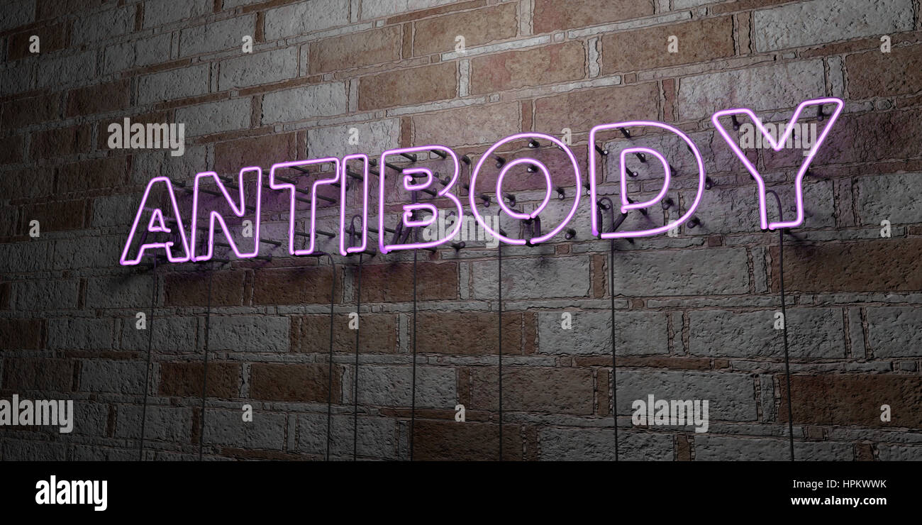 Anticorps - Glowing Neon Sign sur mur en pierre - rendu 3D illustration libres de droits. Peut être utilisé pour des bannières publicitaires en ligne et de publipostage. Banque D'Images