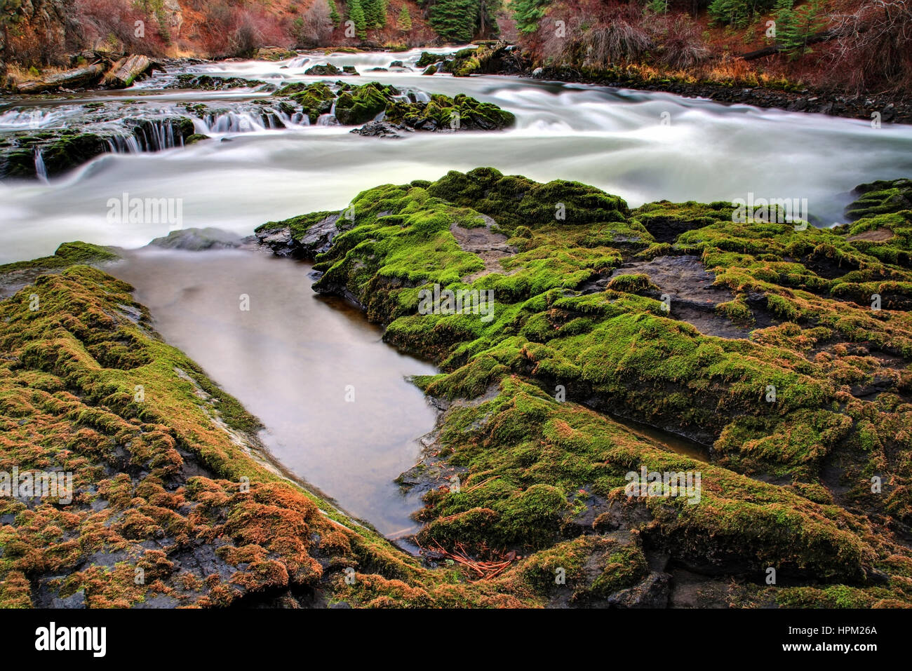 Des roches couvertes de mousse sur la rivière Deschutes Coude extérieur Oregon Banque D'Images