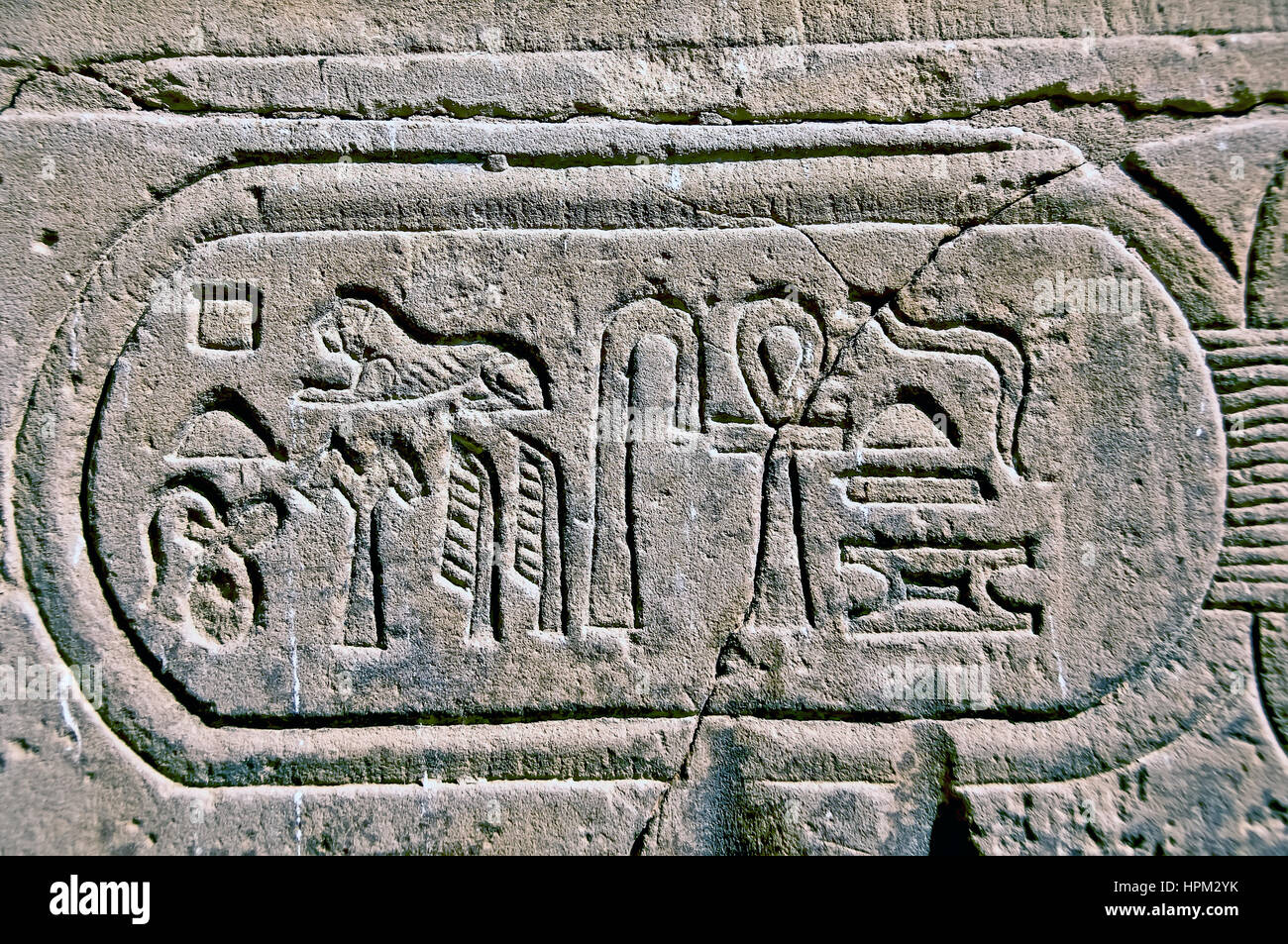 Gros plan du cartouche royal à Philae, Temple ou temple d'Isis à l'île de Philae Banque D'Images