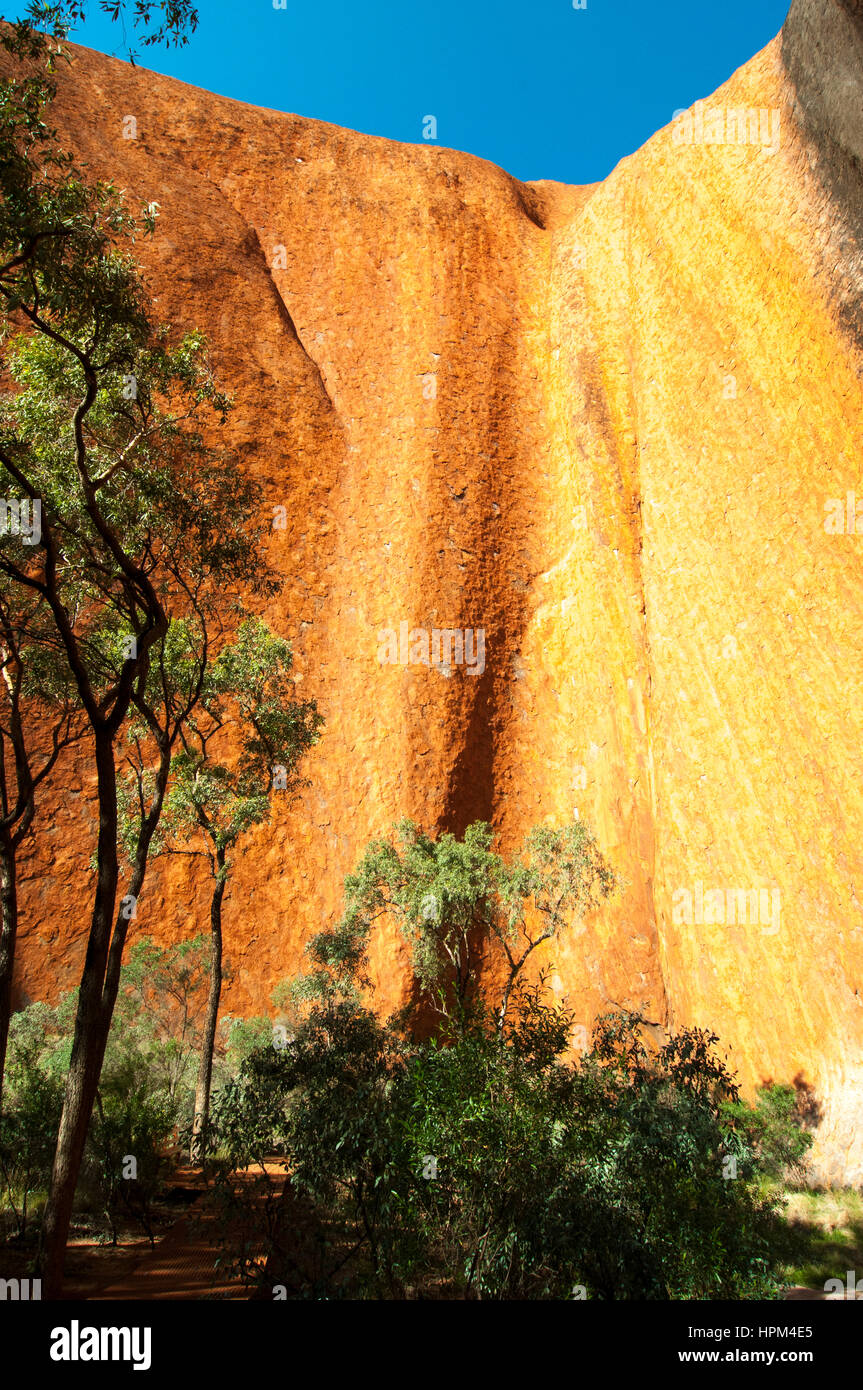 Mutitjulu Waterhole, Uluru ou Ayers Rock, Australie centrale Banque D'Images