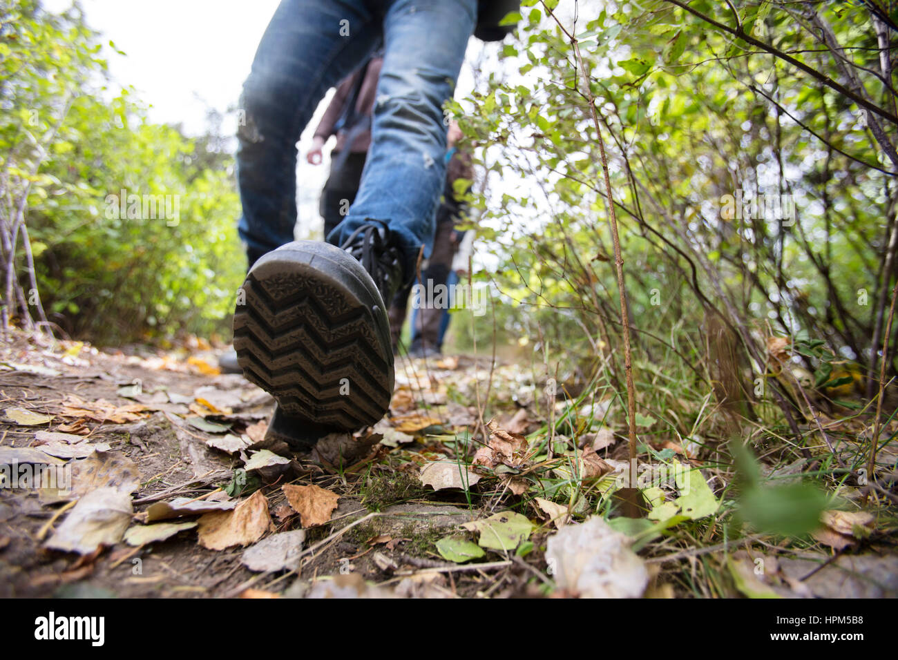 La section basse de l'homme portant des chaussures lors de votre randonnée sur sentier forestier Banque D'Images