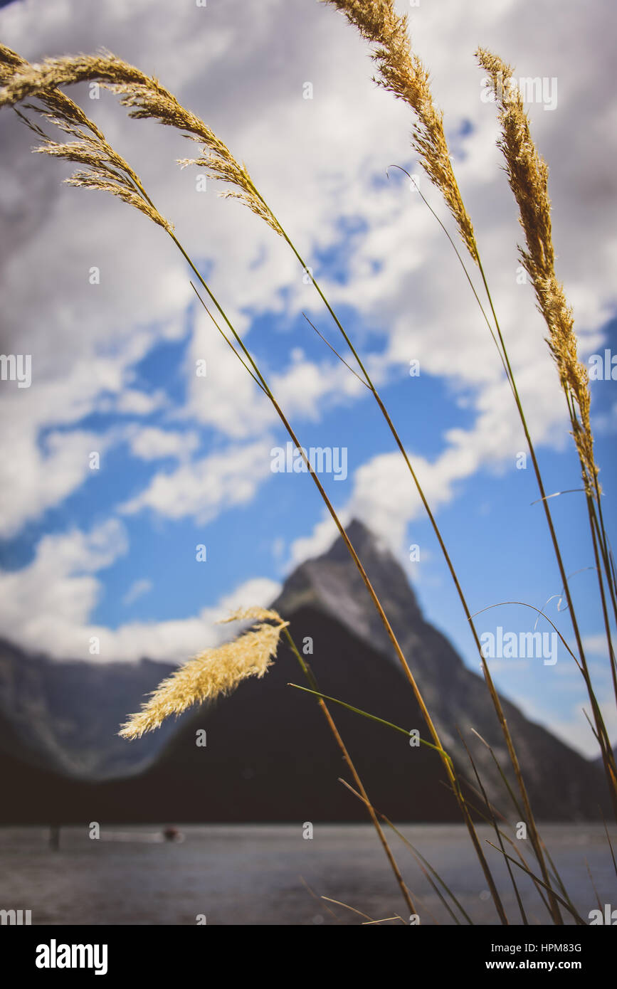 Vues de Milford Sound, Nouvelle Zélande Banque D'Images