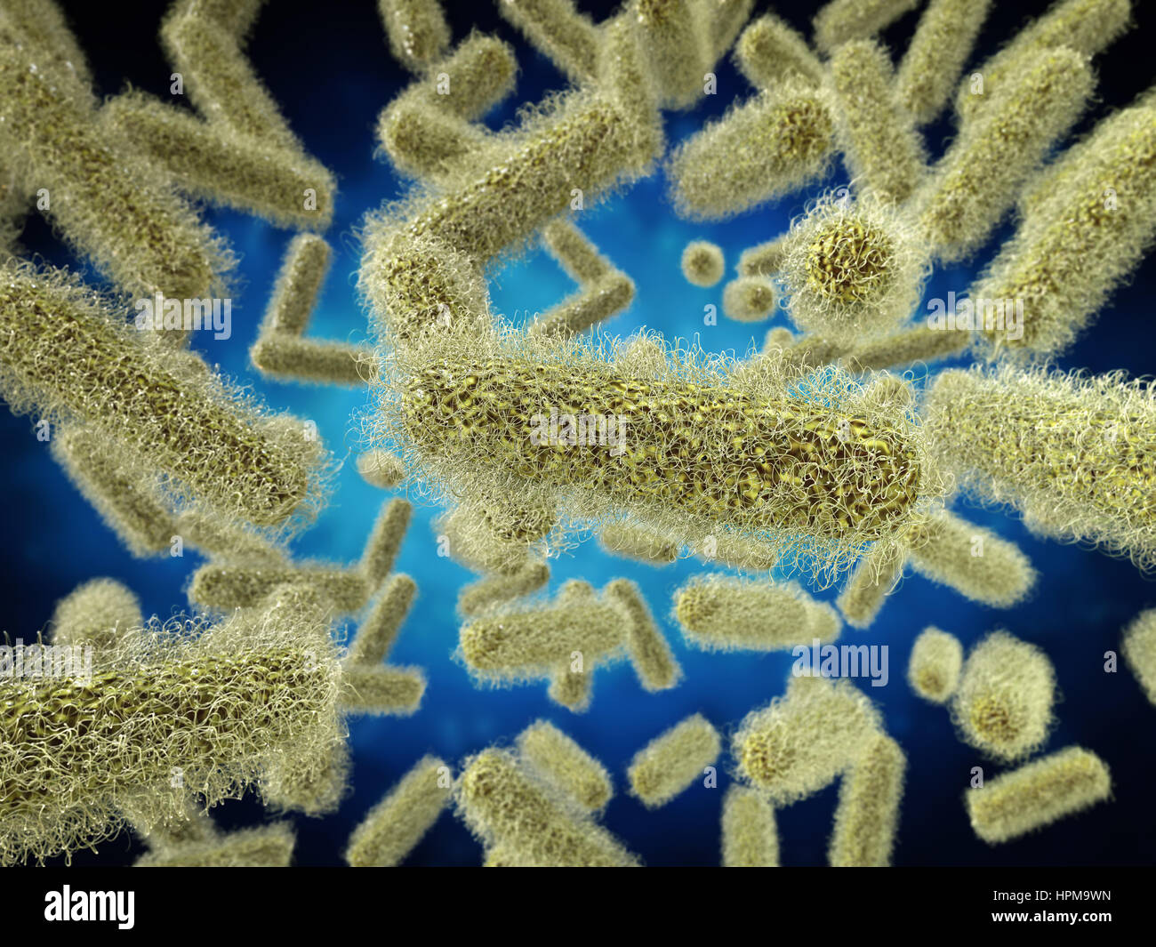 Le rendu 3D de cellules de bactéries forme stick Banque D'Images