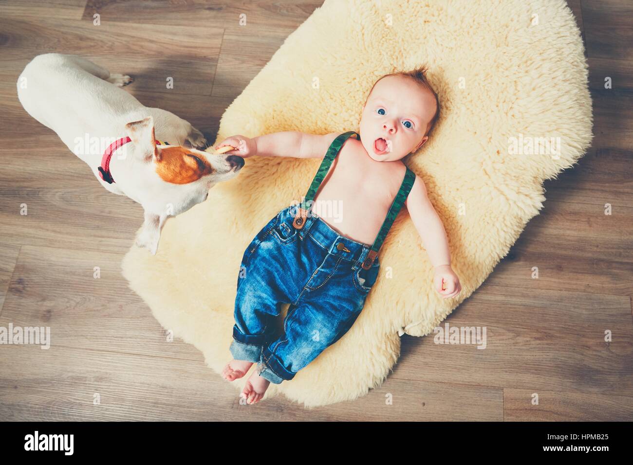 Petit garçon et le chien à la maison. Adorable bébé reposant sur la couverture de fourrure. Banque D'Images