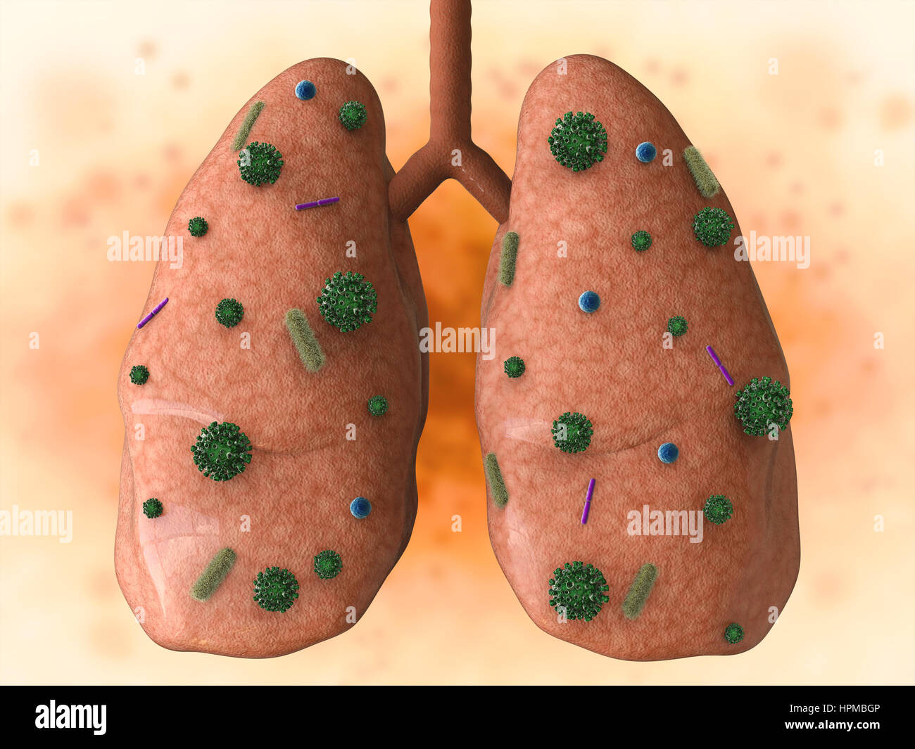 La maladie pulmonaire de rendu 3D avec les cellules des bactéries Banque D'Images