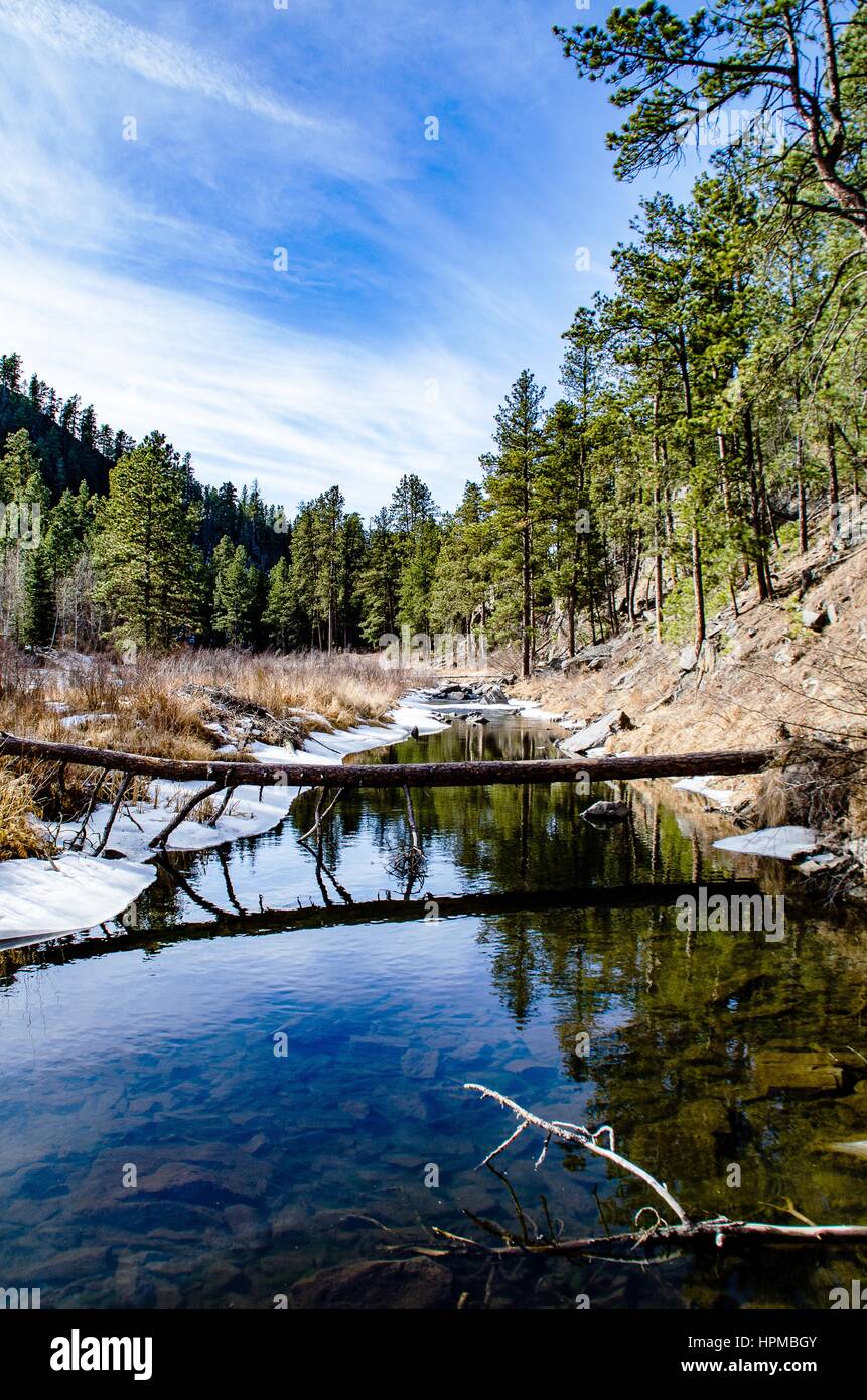 La réflexion du journal qui traverse le ruisseau de printemps avec un fond de montagnes boisées Banque D'Images