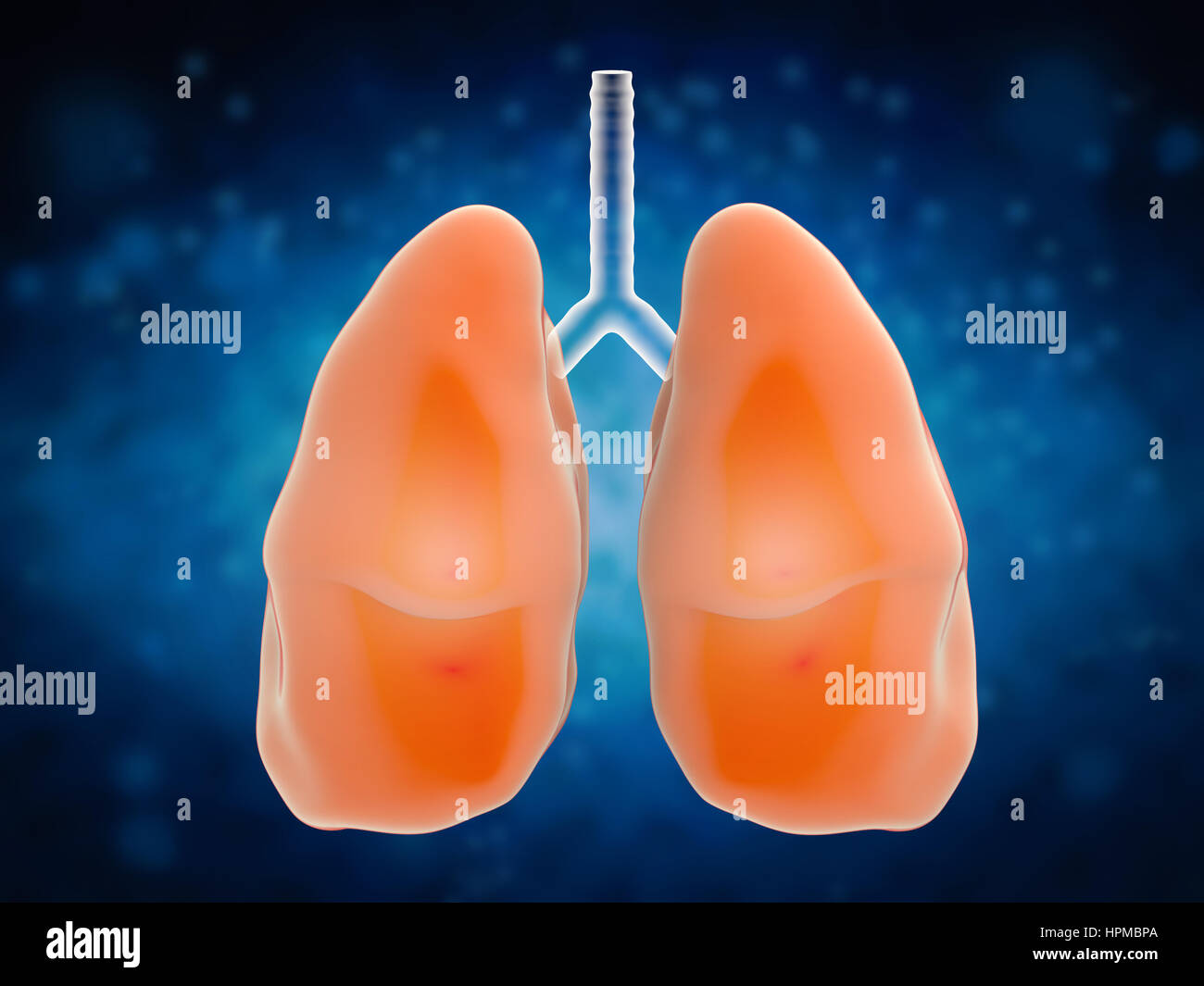 Le rendu 3d des poumons dans la douleur Banque D'Images
