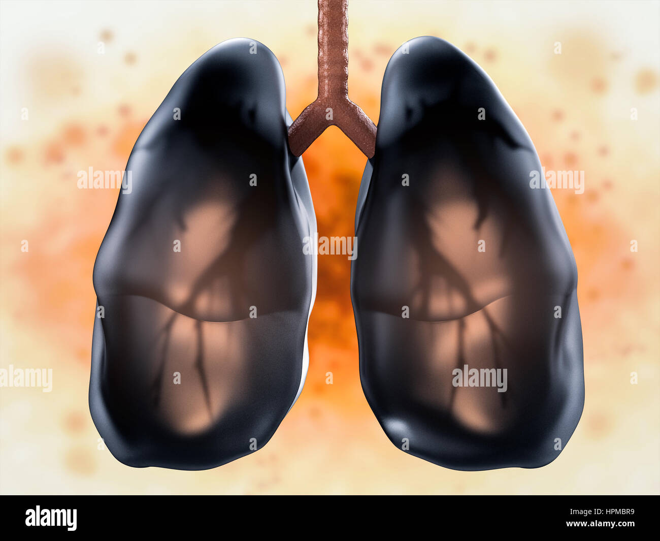 Le rendu 3d des poumons ou des poumons malsains Banque D'Images