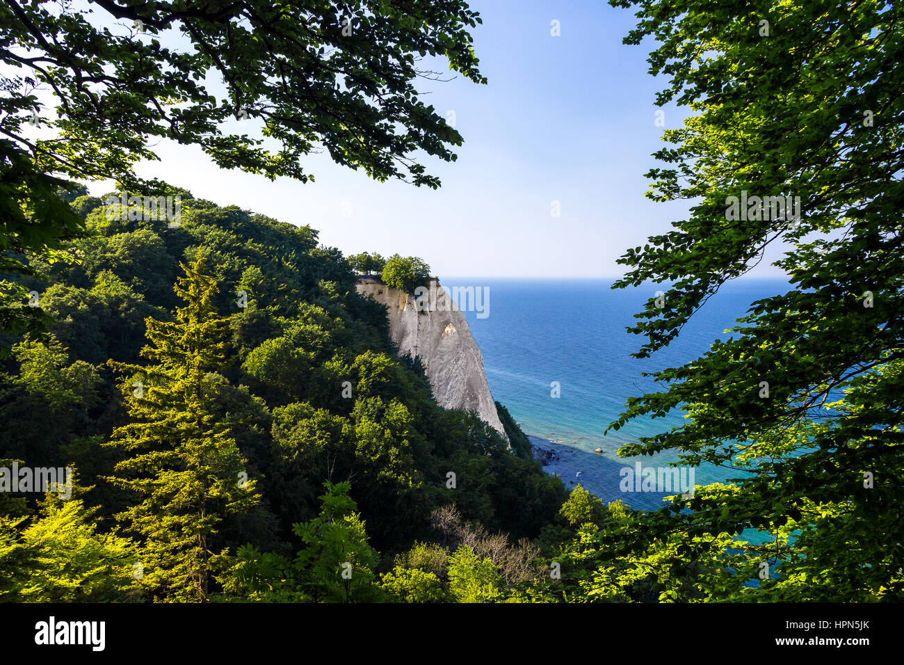 Le célèbre roi Königsstuhl (président) sur l'île allemande de Rügen Banque D'Images