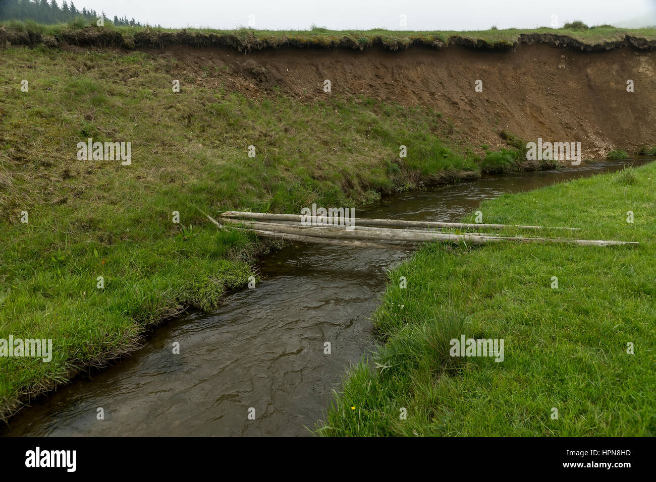 Les arbres abattus comme pont de fortune sur une petite rivière Banque D'Images