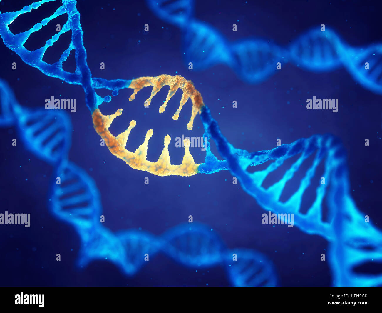 Molécule d'ADN en double hélice avec des gènes modifiés , mutation Correction par génie génétique Banque D'Images