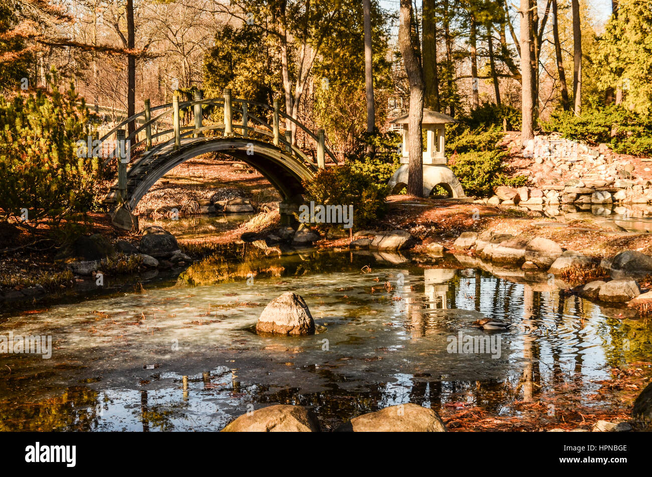 Jardin japonais Banque D'Images