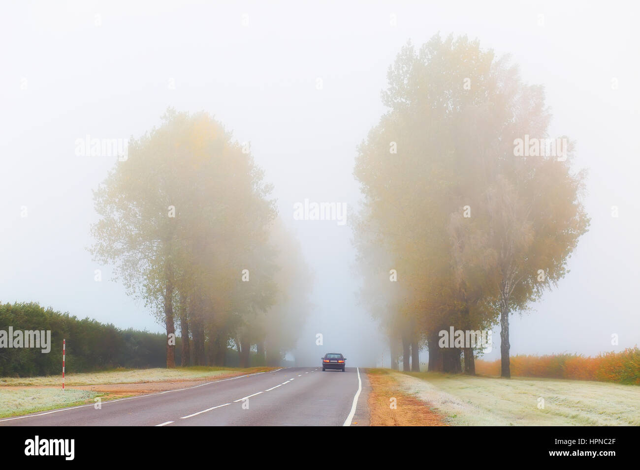 Voiture sur la route de brouillard dans le froid matin d'automne Banque D'Images