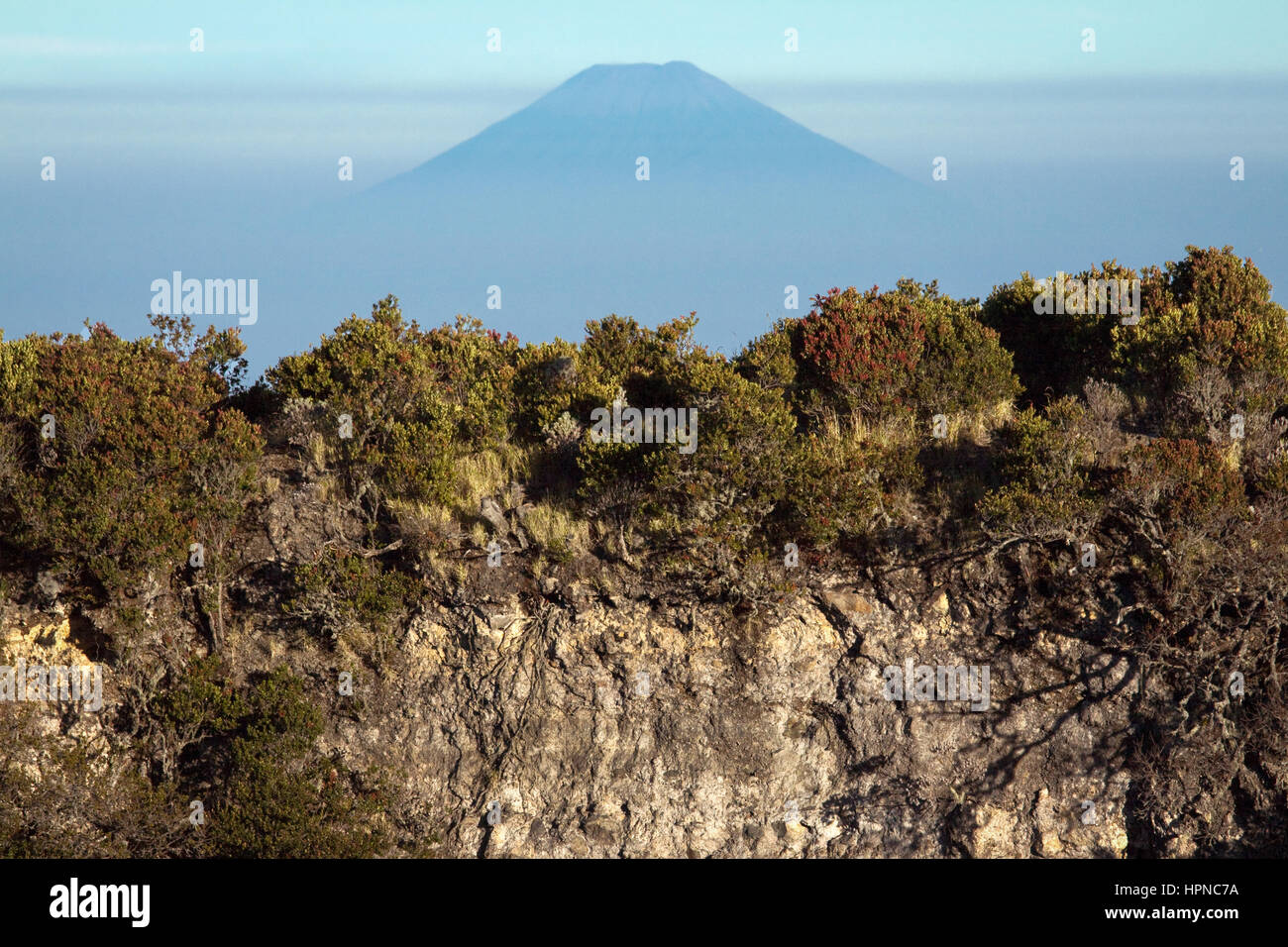 L'imposant pic volcanique de Gunung Slamet accueille l'aventure trekker ou randonneur au sommet d'un volcan indonésien Gunung Sindoro en Java Banque D'Images