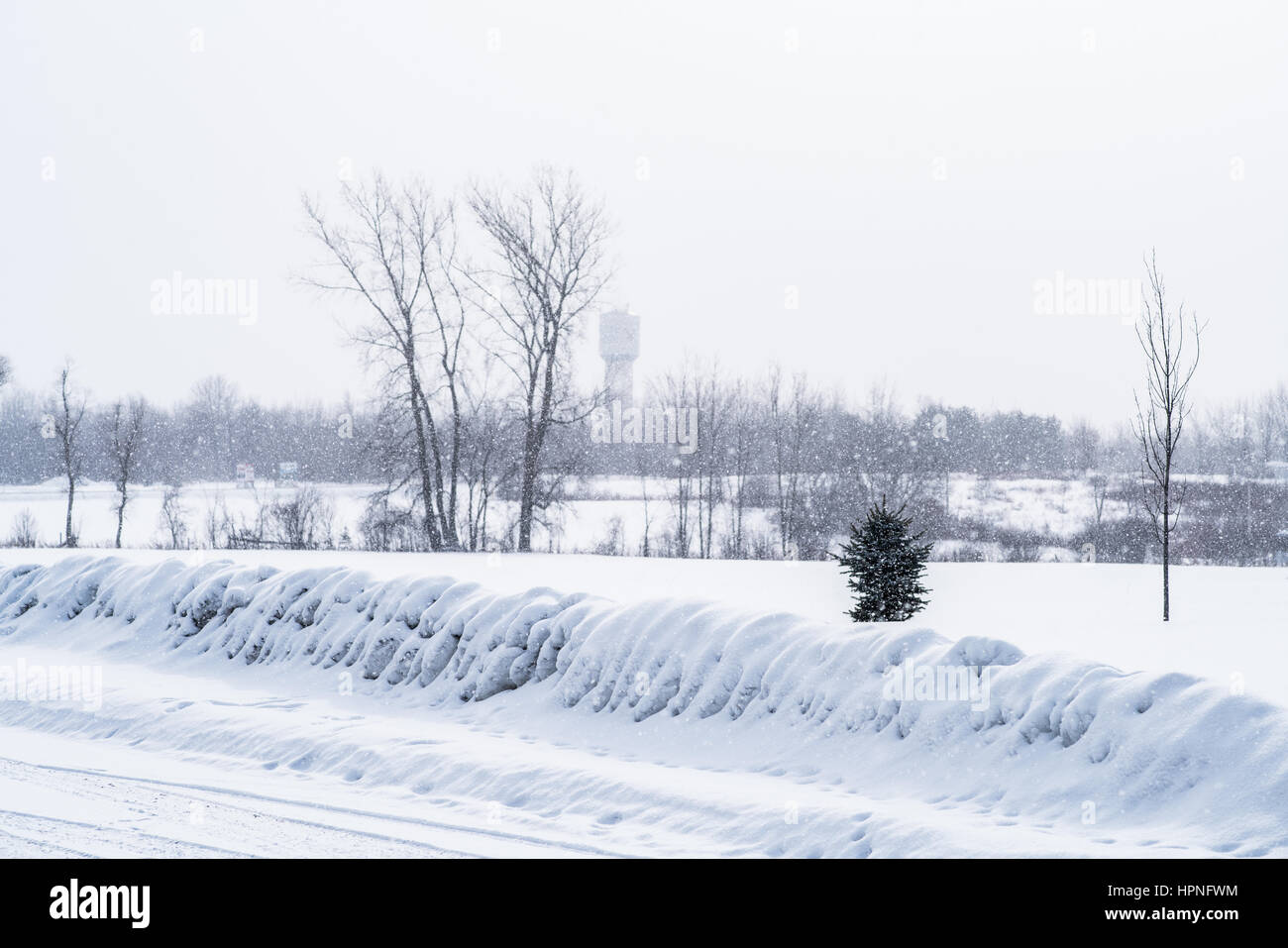 La neige qui tombe en pleine campagne au Canada Banque D'Images