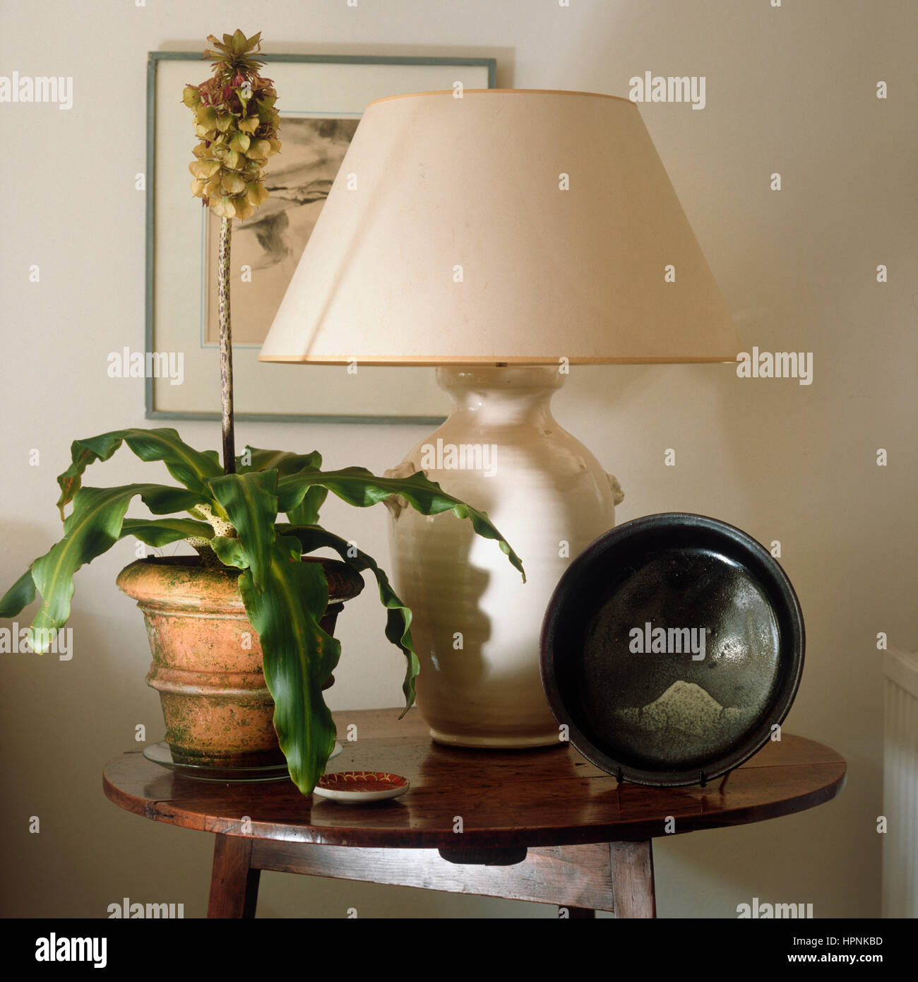 'Une petite table avec une lampe de table, de plantes en pot et bol." Banque D'Images