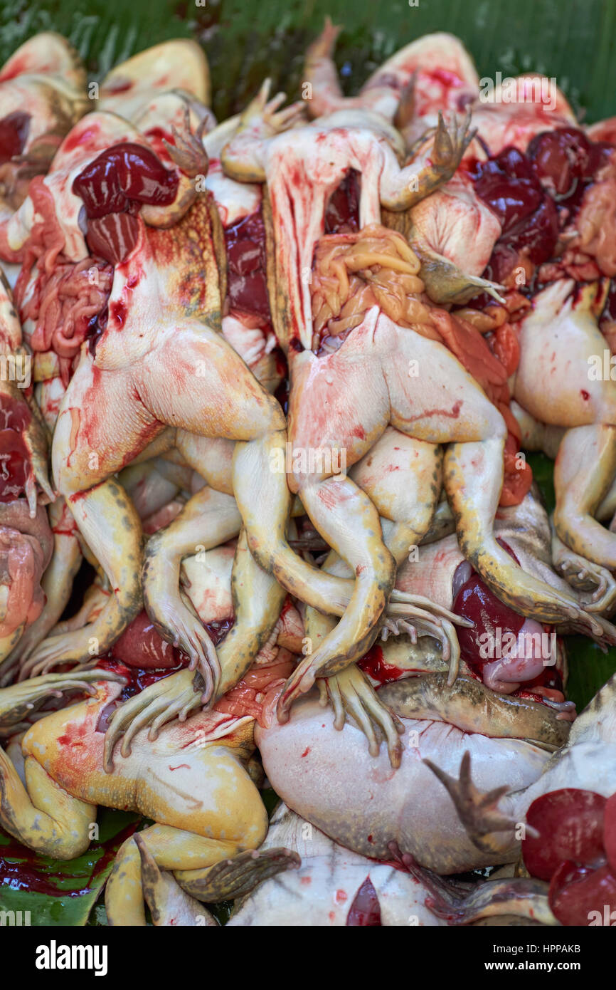 Les grenouilles et les jambes dénudées pour la vente dans un marché chinois de Bangkok - grenouilles comestibles (Hoplobatrachus rugulosus) à Khlong Toei Pier Market, centre de Bangkok Banque D'Images