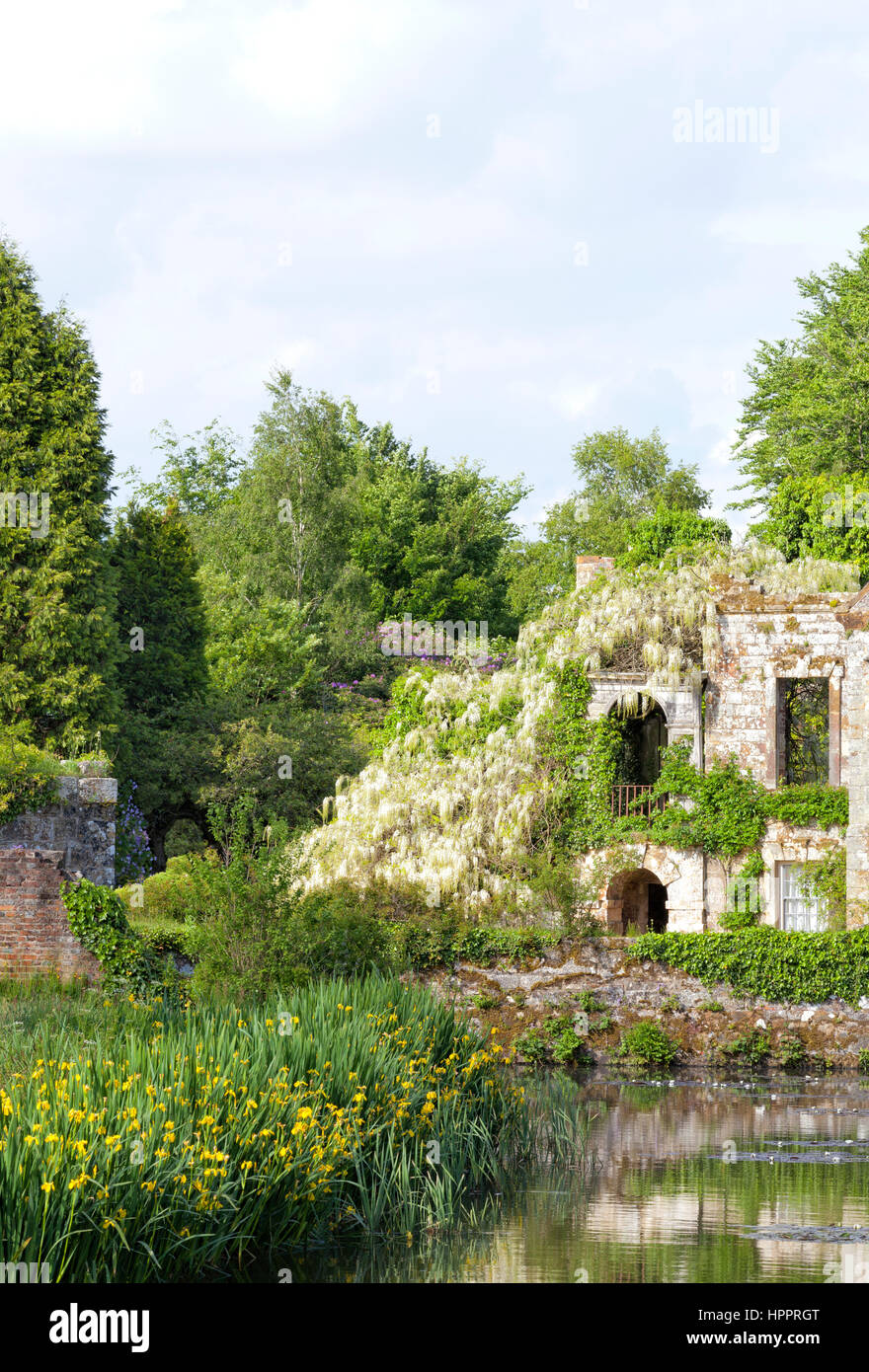 Jardin de l'été romantique, avec de plus en plus sur la vieille glycine blanche, maison en pierre en ruine, par un lac . Banque D'Images