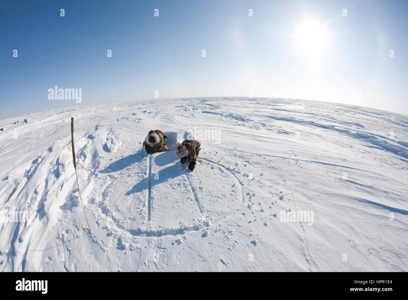 Un bâtiment iglo sur le pôle nord Banque D'Images