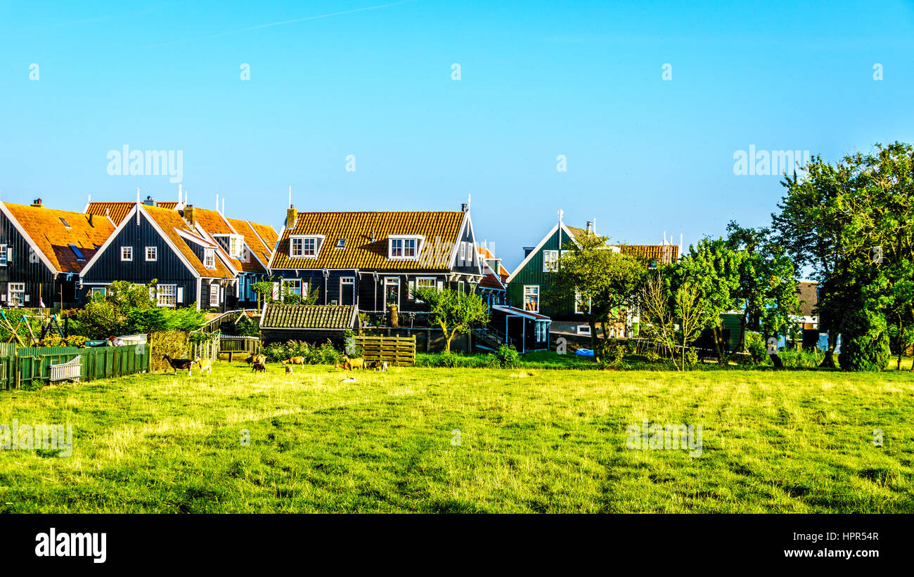 Maisons traditionnelles typiques avec mur vert et toit en tuiles rouges dans le village de pêcheurs historique de Marken aux Pays-Bas Banque D'Images