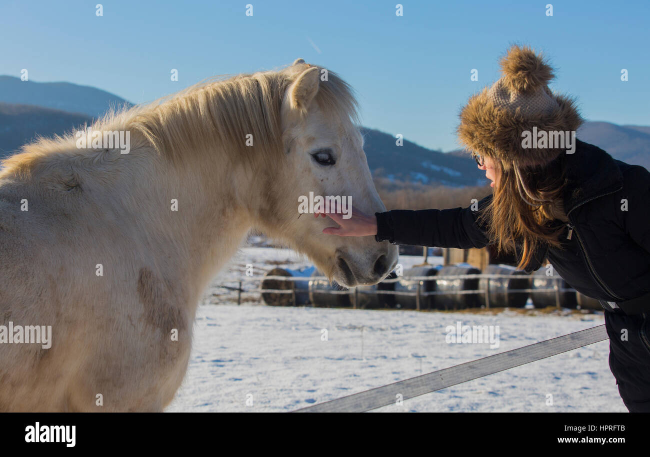 Les filles et les chevaux Banque D'Images