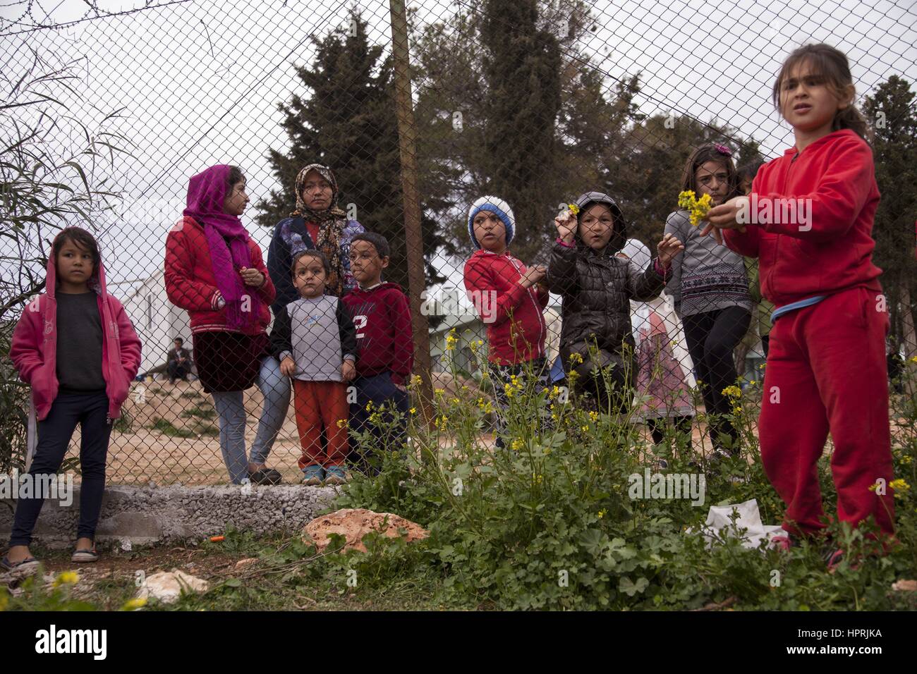 Fille afghane recueille des fleurs. Les réfugiés persistent pendant plus d'un an au centre d'hébergement des réfugiés Schisto. Utilisation dans le monde entier 19.02.2017 | Banque D'Images