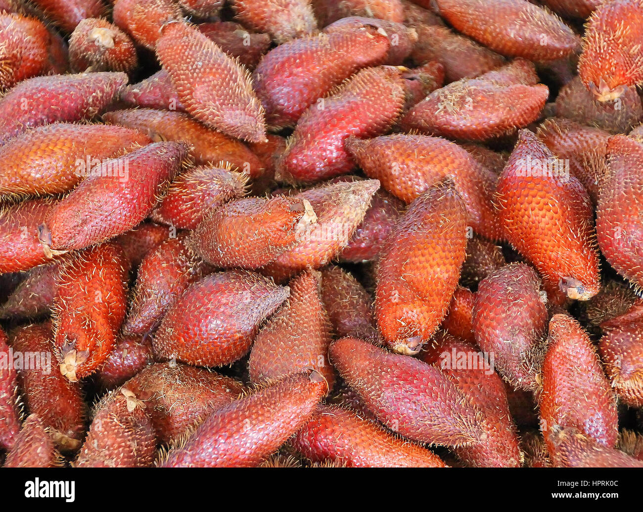 Salak fruits ou fruits Snake en thaï Marché local Banque D'Images