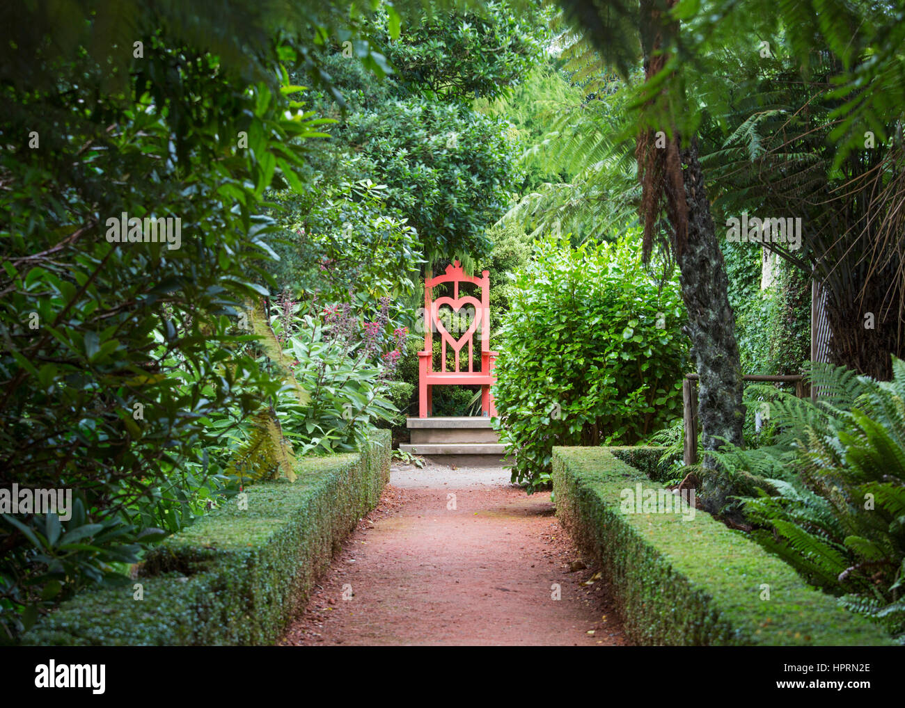 Dunedin, Otago, Nouvelle-Zélande. Voir sur le trône, une caractéristique de la forêt tropicale au Jardin du Château de Larnach, péninsule d'Otago. Banque D'Images