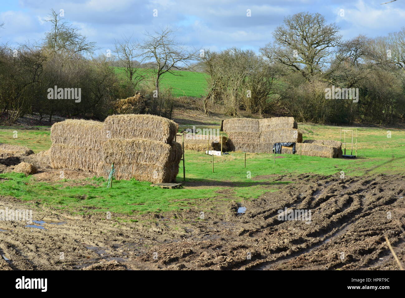 Bottes de paille dans un champ, les agriculteurs à Coulsdon Surrey Banque D'Images