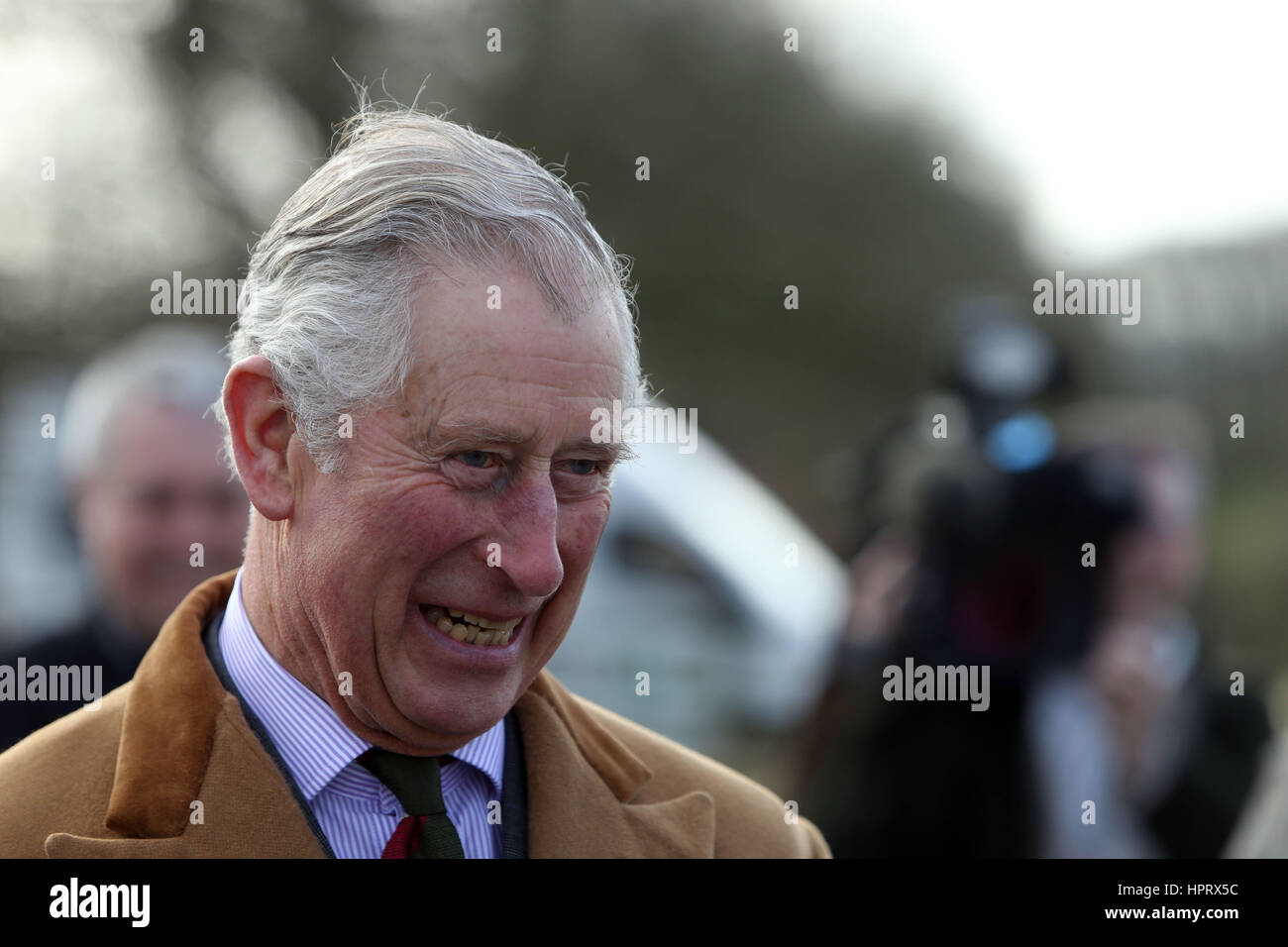 Le Prince de Galles répond aux visiteurs du parc comme il regarde et bovin en apprend davantage sur les efforts déployés pour sauver la race de l'extinction sur une visite à Dinefwr Park à Llandeilo, Carmarthenshire, lors de sa visite au Pays de Galles. Banque D'Images