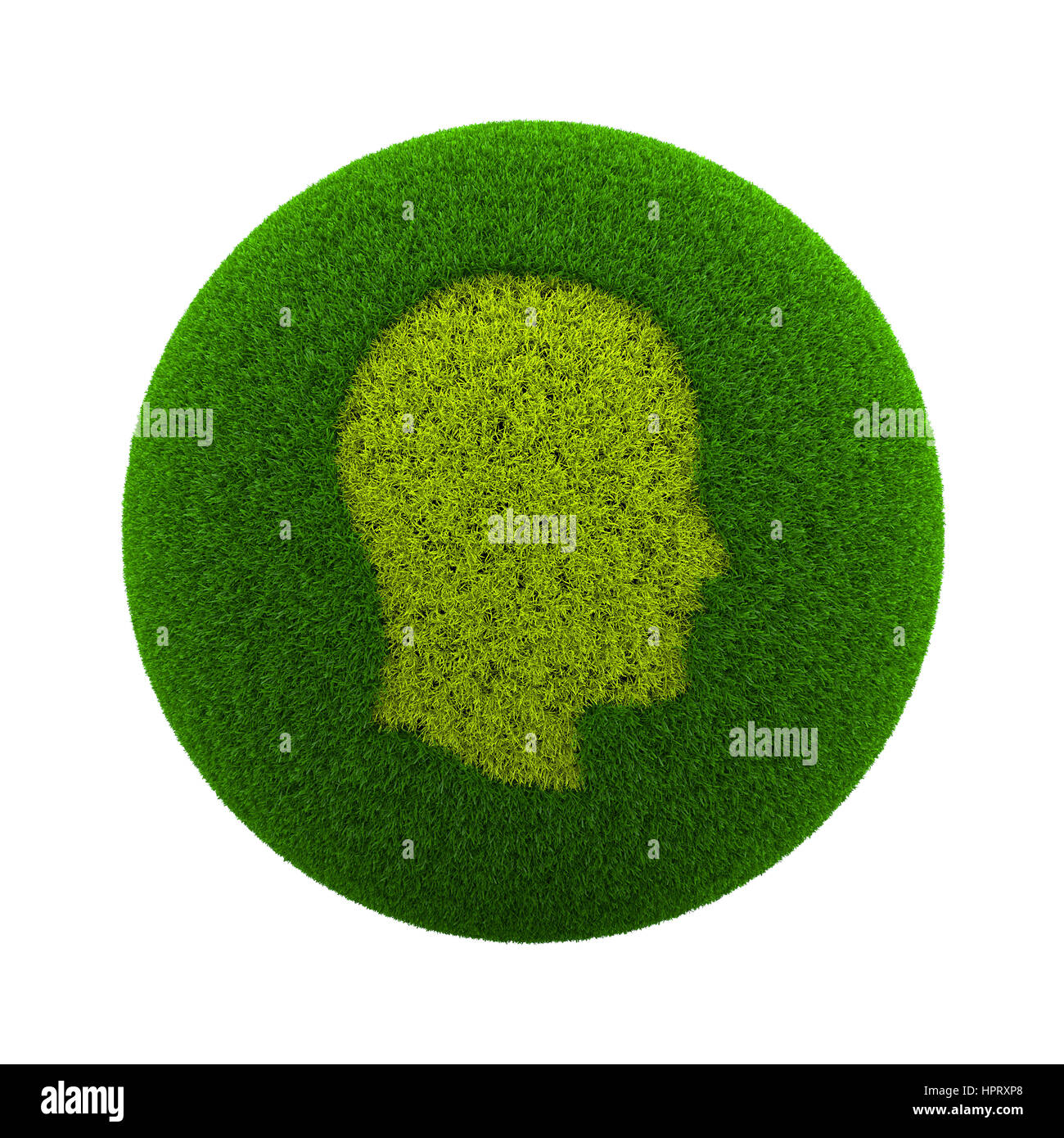 Green Globe avec l'herbe coupée dans la forme d'une tête humaine Profile 3D Illustration isolé sur fond blanc Banque D'Images
