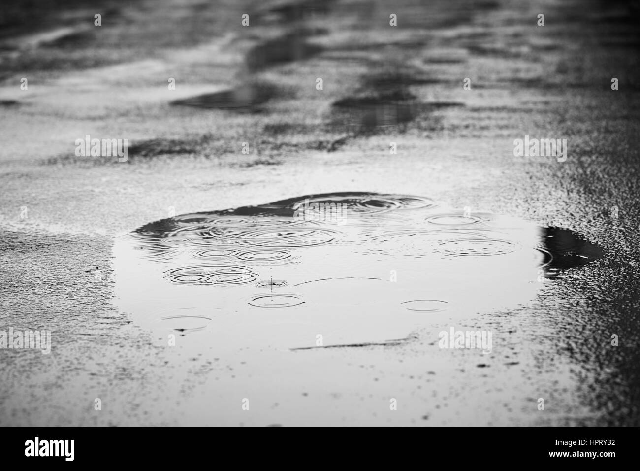 Flaque d'eau dans la pluie - selective focus Banque D'Images