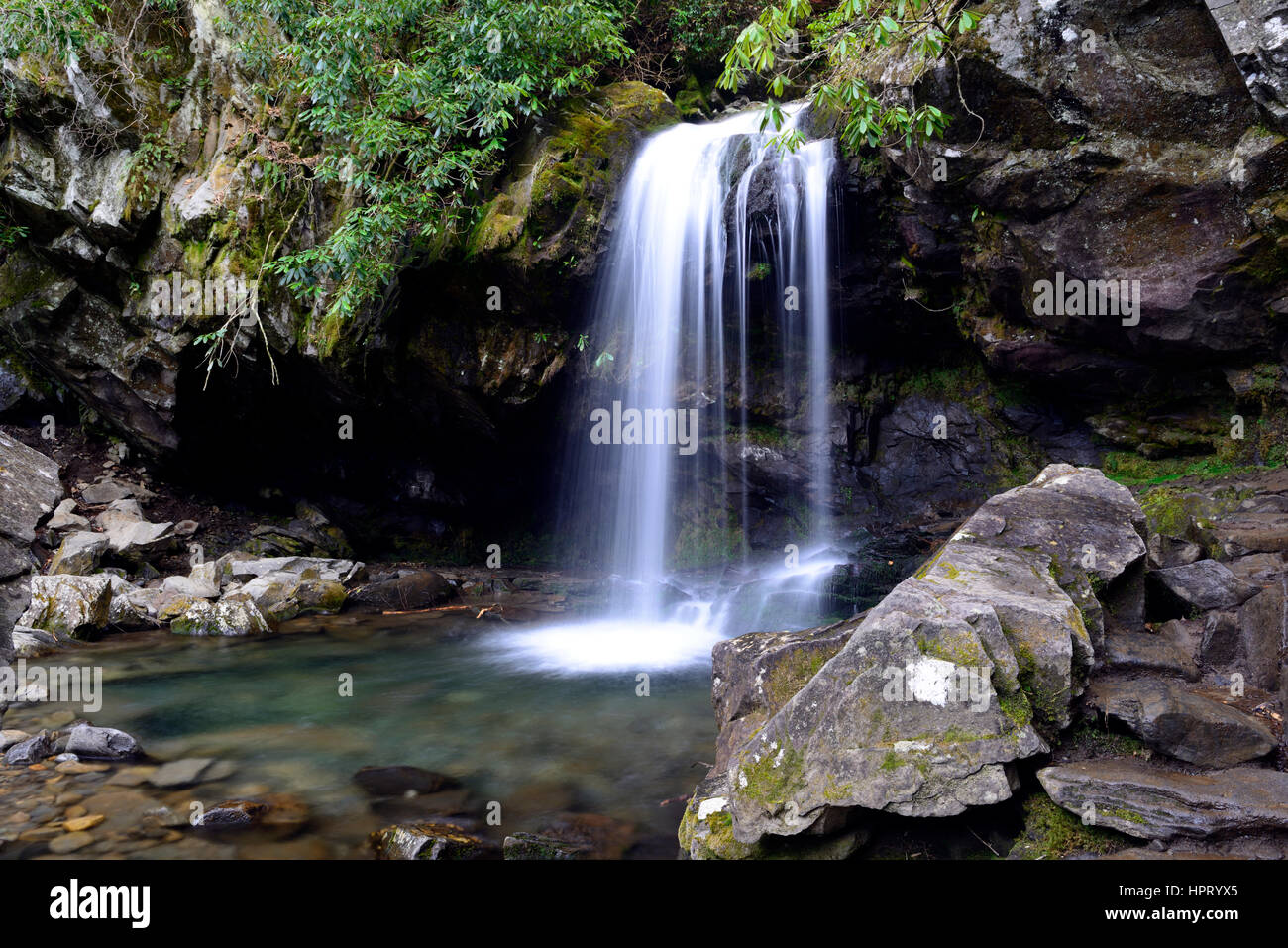 Rainbow Falls, chutes, Cascade, LeConte Creek, Parc national des Great Smoky Mountains, forêt, les forêts, bois, forêts, parcs, GSMNP, Gatlinburg, Tennes Banque D'Images