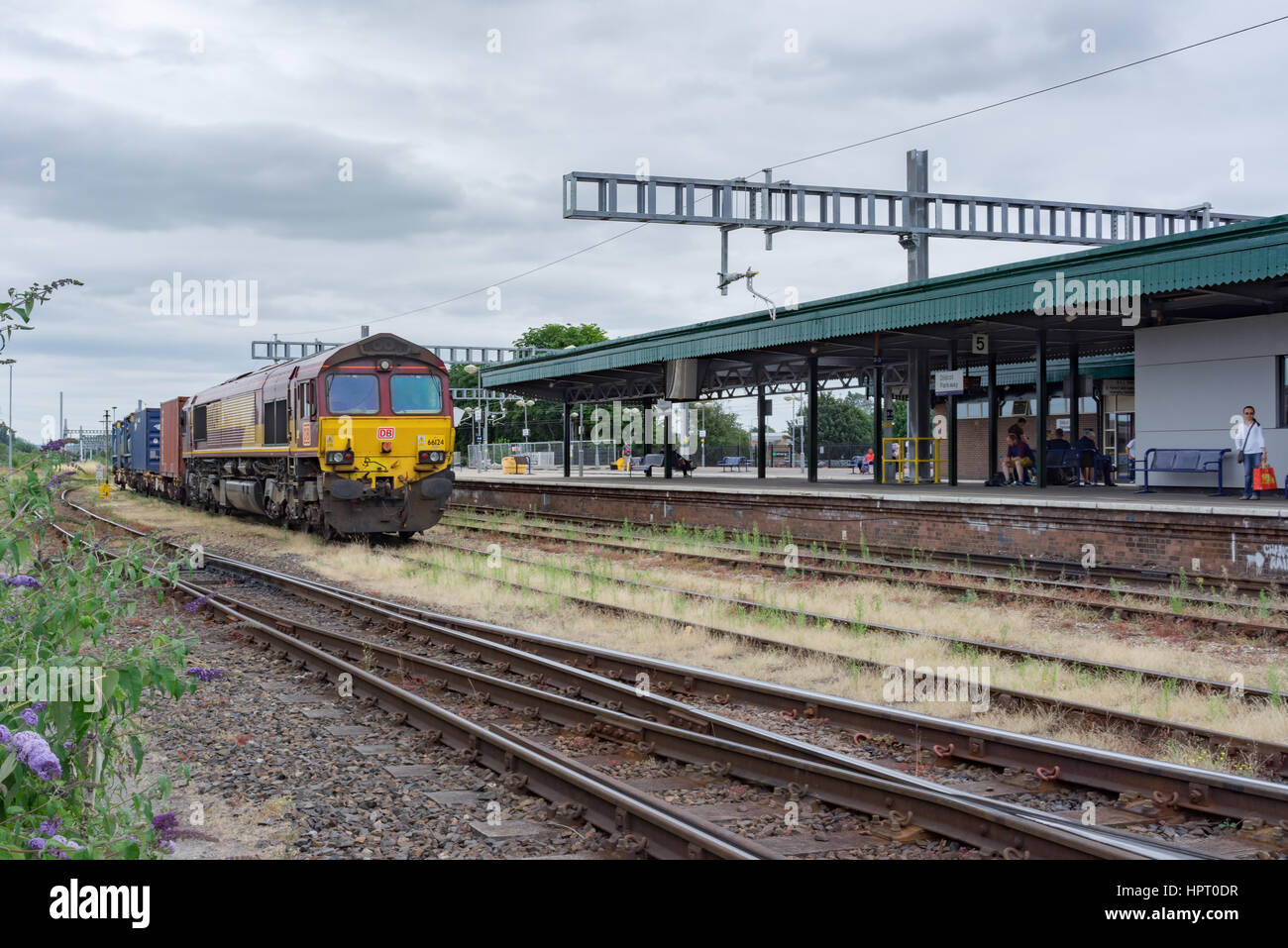 DB Schencker livrée EWS locomotive classe 66 dans les voies latérales à Didcot railway station Banque D'Images