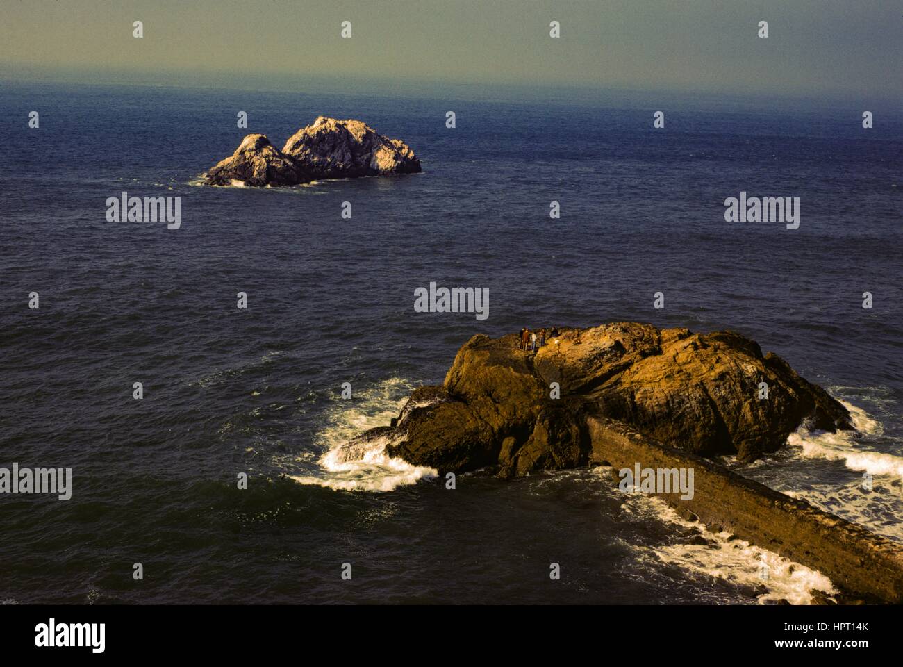 Vue de la Seal Rocks au large de la côte dans le Land's End quartier de San Francisco, Californie, 1978. Banque D'Images