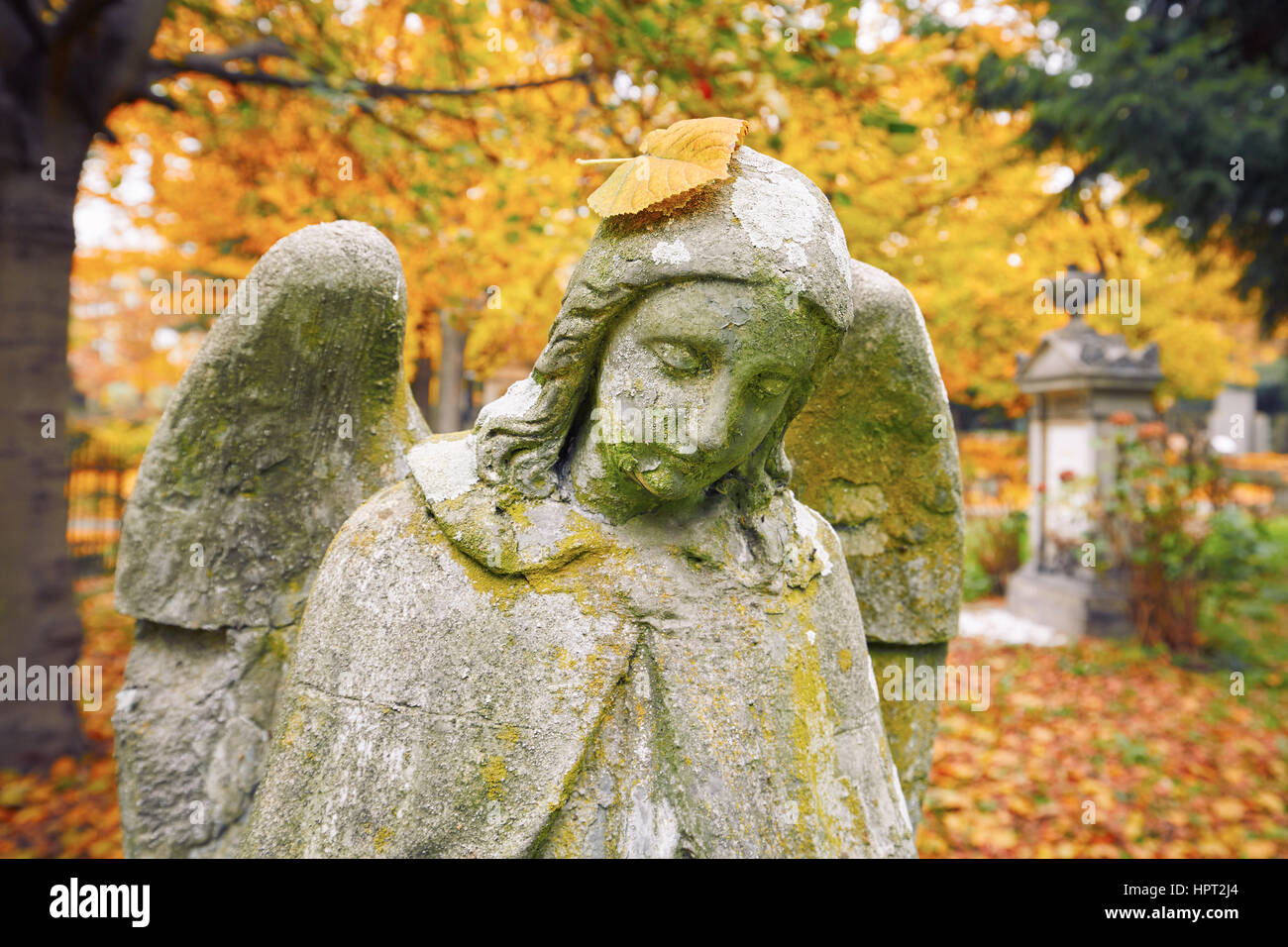 Sad angel statue au vieux cimetière en automne Banque D'Images