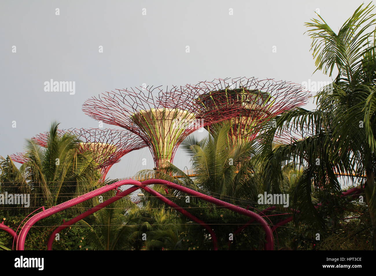 Structure moderne dans des jardins de fleurs par La Baie, Singapour Banque D'Images