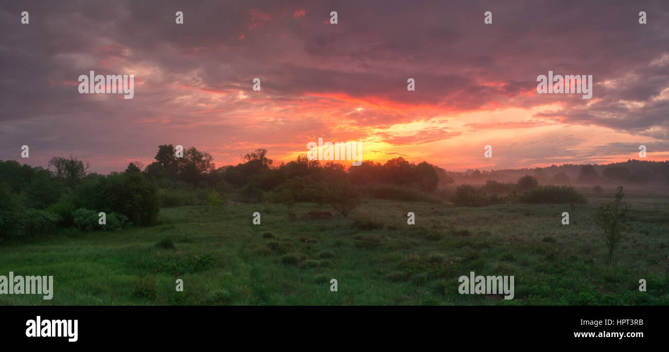 Matin brumeux paysage du champ vert et moody sky Banque D'Images