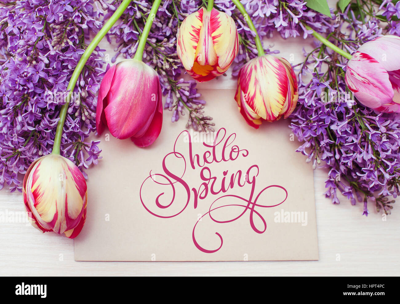 Trame d'tulipes et lilas et place le texte carte de souhaits et texte Bonjour Printemps. Lettrage calligraphie. Banque D'Images