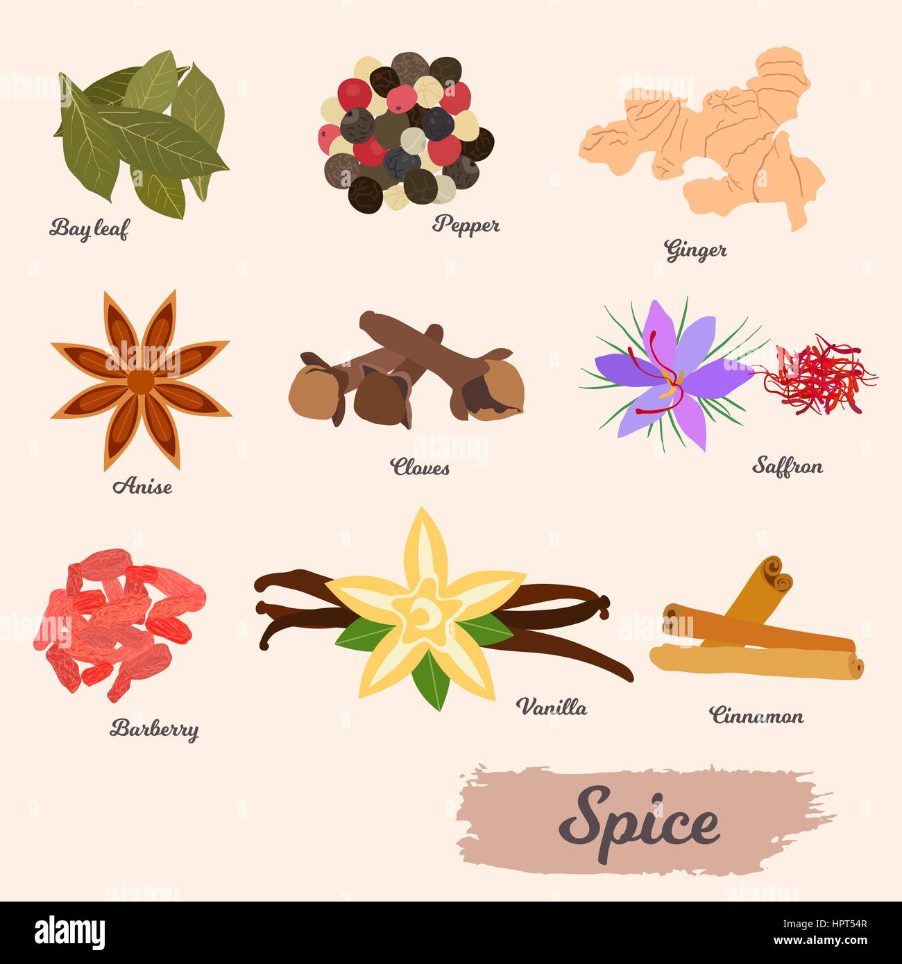 Vector icon set - épices et condiments Illustration de Vecteur