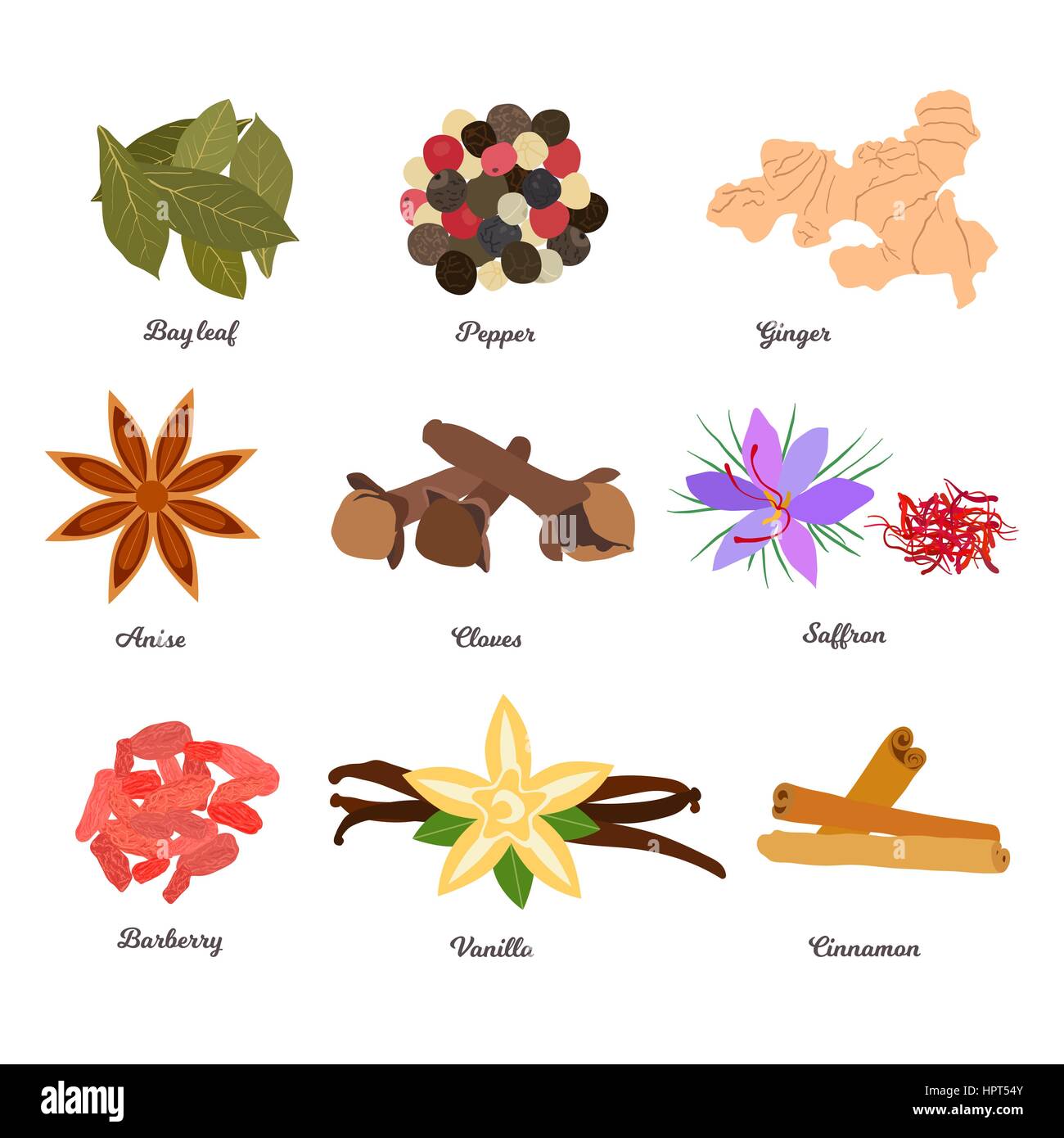 Vector icon set - épices et condiments Illustration de Vecteur