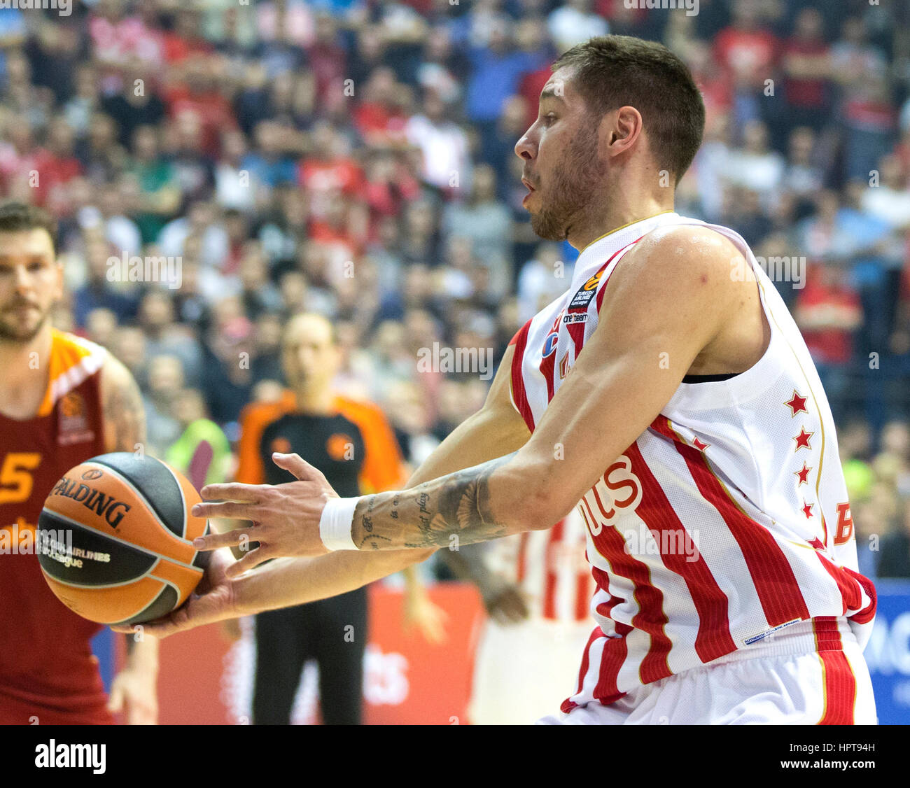 Belgrade, Serbie. 23 Février, 2017. Stefan Jovic de stade Crvena Zvezda Belgrade mts en action au cours de la Turkish Airlines EuroLeague 2016/2017 Saison régulière 23 Ronde match entre le stade Crvena Zvezda Belgrade MTS et Galatasaray Istanbul à Odeabank Aleksandar Nikolic Hall le 23 février 2017 à Belgrade, Serbie. Credit : Nikola Krstic/Alamy Live News Banque D'Images