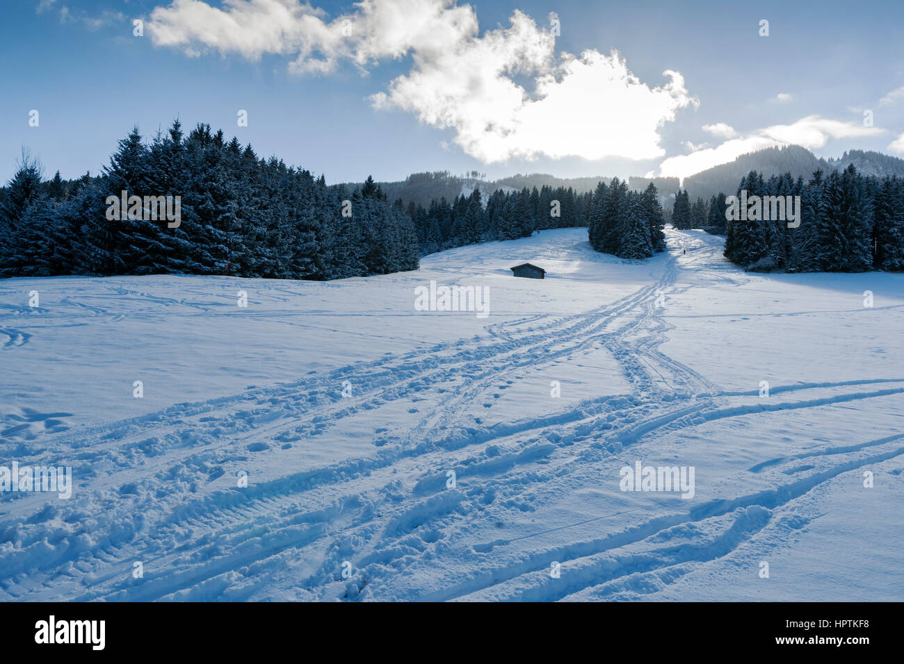 Allemagne, Nesselwang, paysage d'hiver Banque D'Images