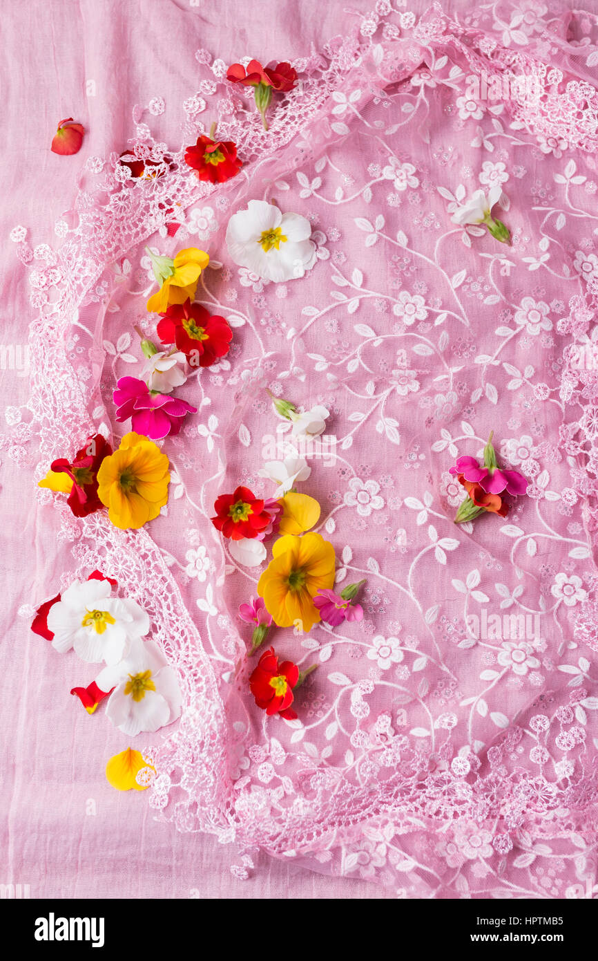 Fleurs de primevères sur tissu rose à motifs floraux Banque D'Images