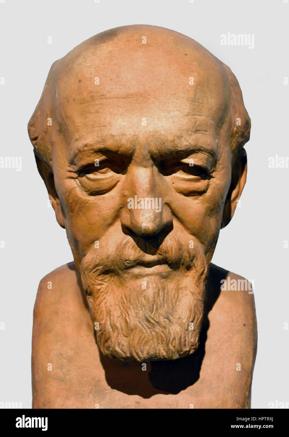 Richard Hackens 1840-1922 (teracotta buste d'Adolf Hildebrand Allemand Allemagne (archéologue et philologue classique. ) Banque D'Images