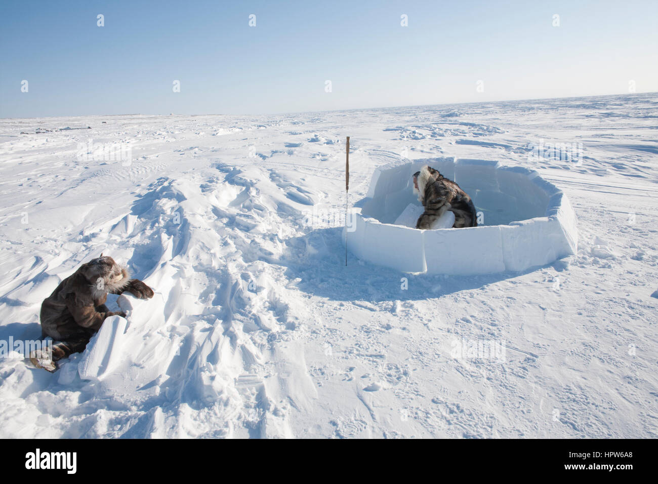 Un bâtiment iglo sur le pôle nord Banque D'Images