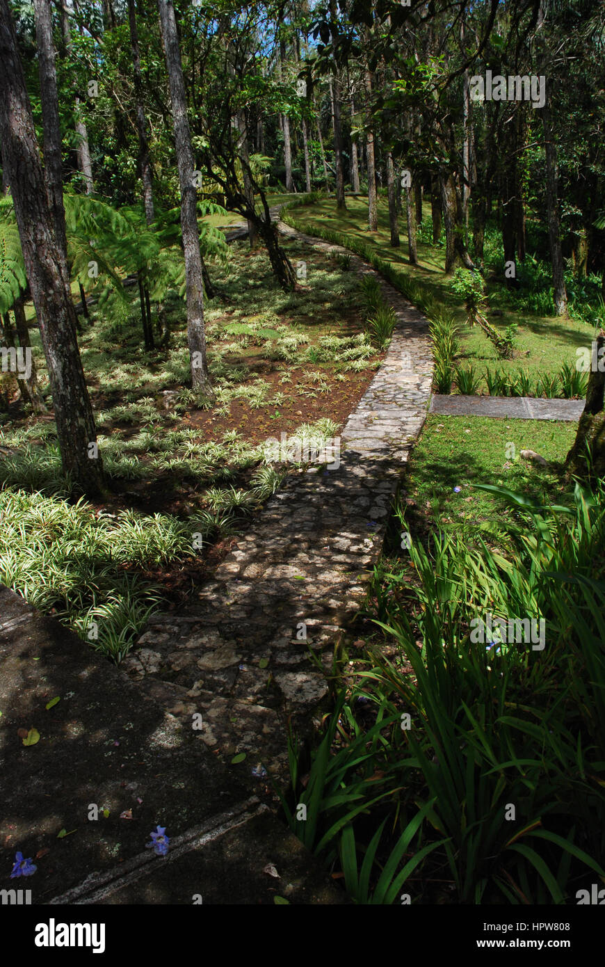 Un sentier pédestre à travers un jardin botanique sur le dessus de Pico Isabel de Torres, une montagne à Puerto Plata, République Dominicaine Banque D'Images