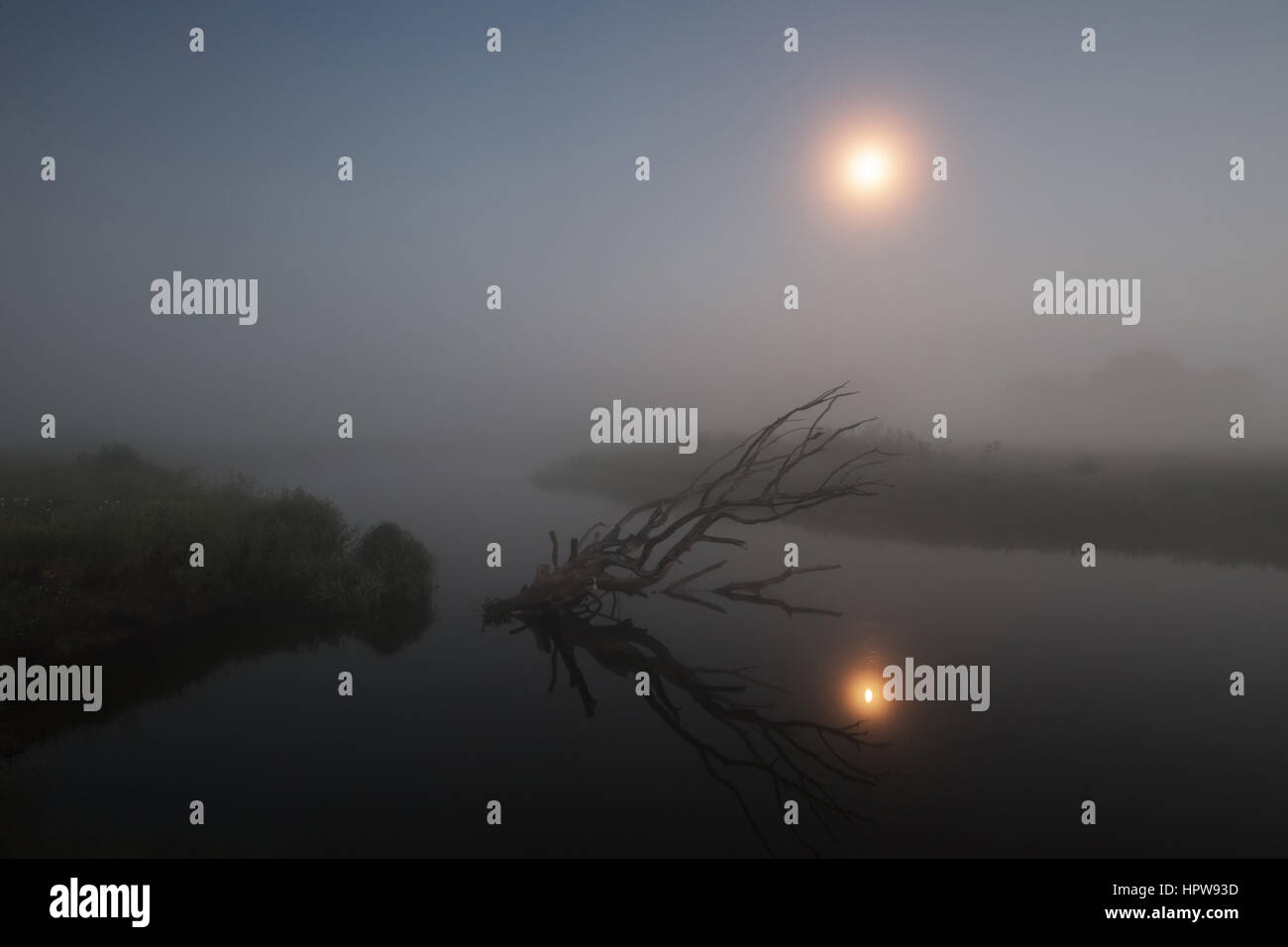 Nuit paysage brumeux, lune en ciel brumeux Banque D'Images