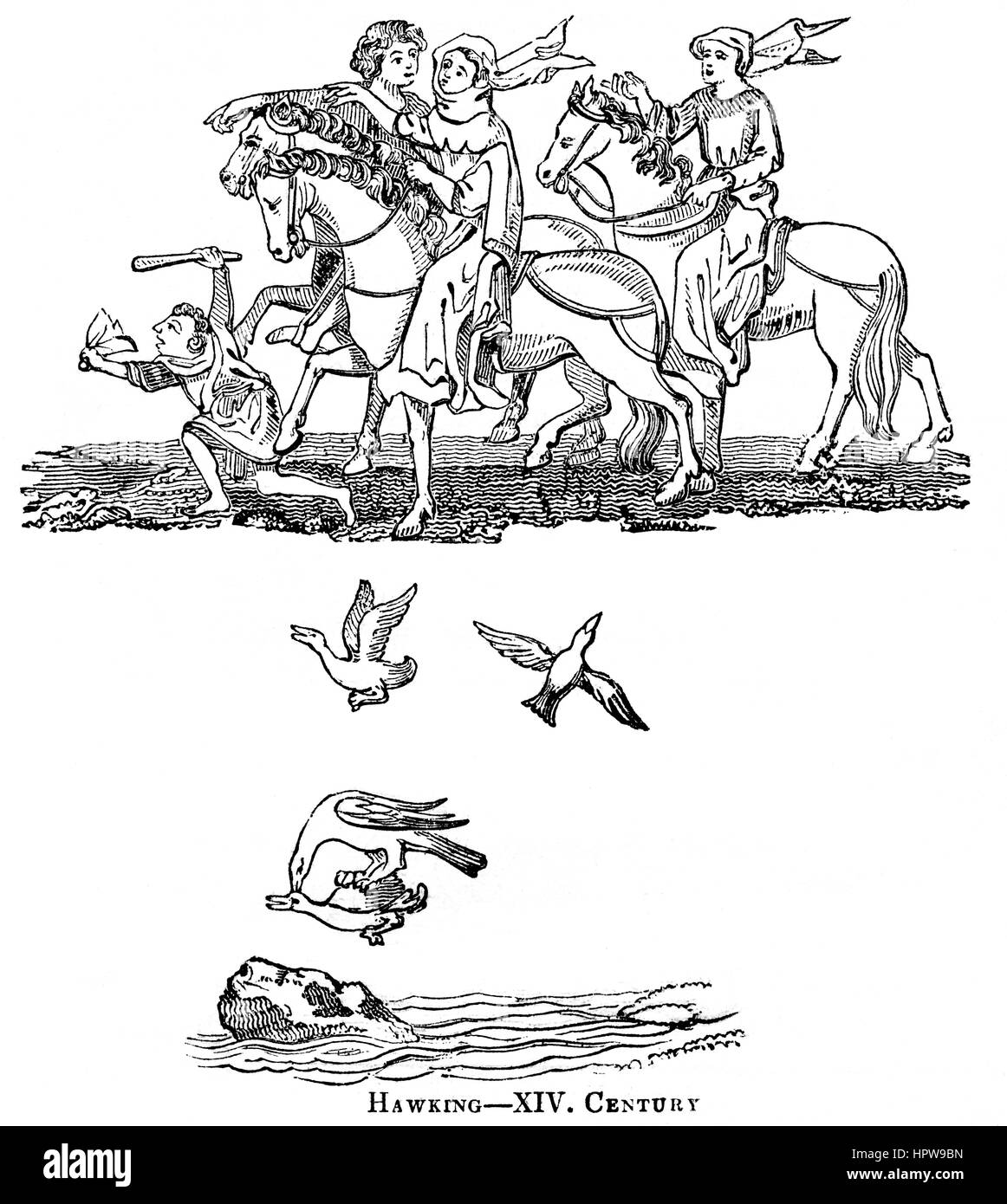 Une illustration de Hawking dans le 14e siècle numérisées à haute résolution à partir d'un livre imprimé en 1831. Croyait libres de droit. Banque D'Images